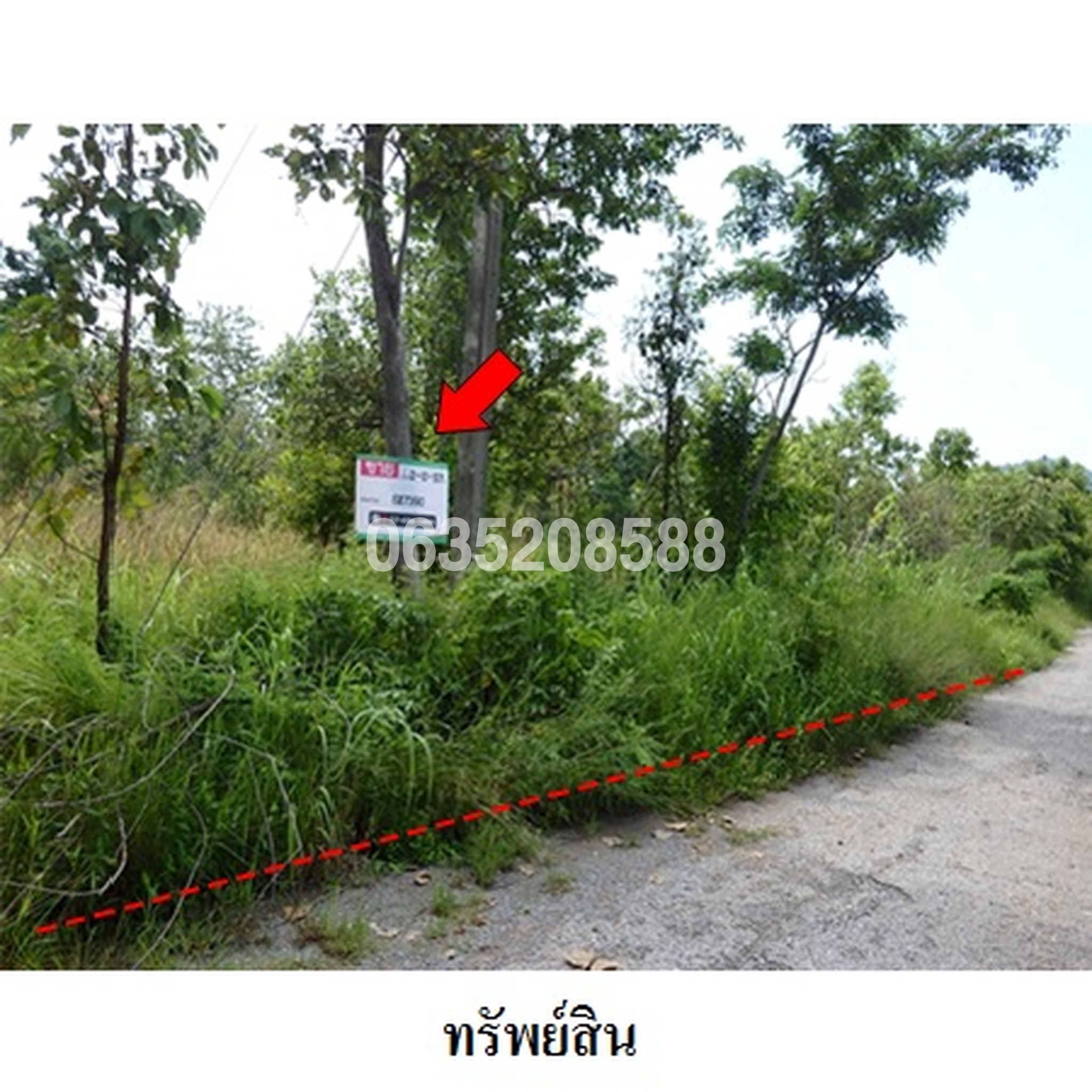 ขายที่ดิน เพชรบูรณ์ฮิลล์ แอนด์ การ์เด้น