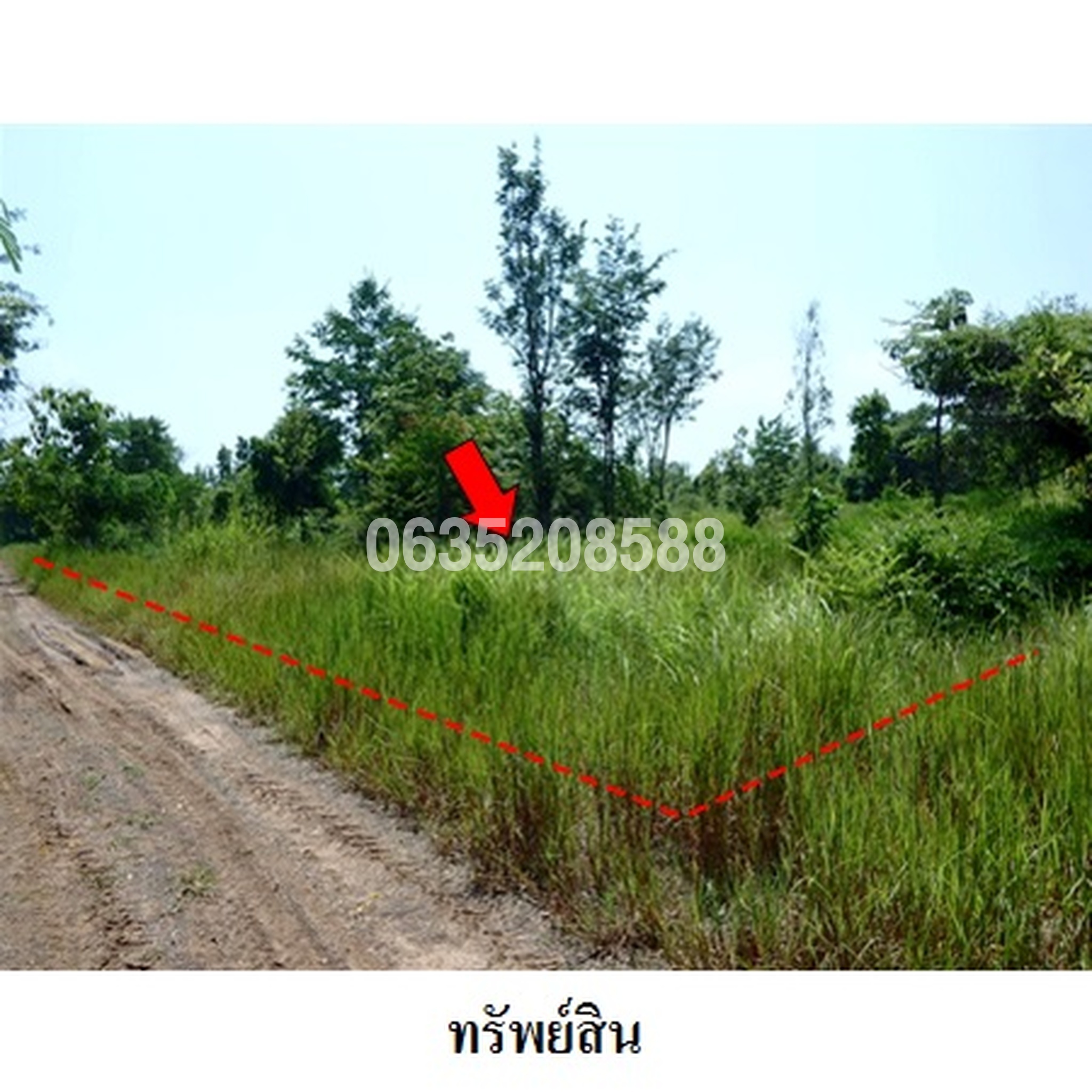 ขายที่ดิน เพชรบูรณ์ฮิลล์ แอนด์ การ์เด้น