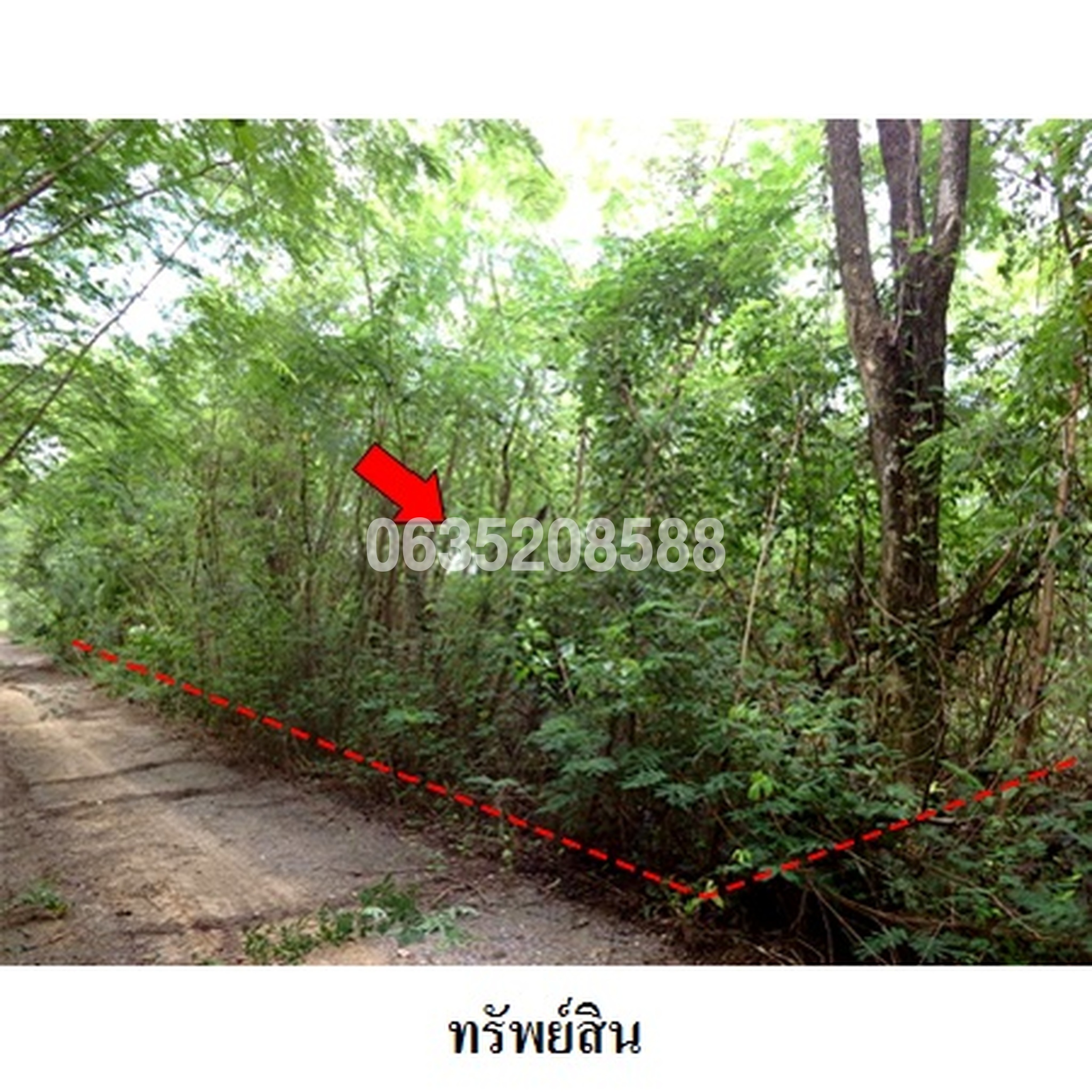 ขายที่ดิน เพชรบูรณ์ฮิลล์ แอนด์ การ์เด้น