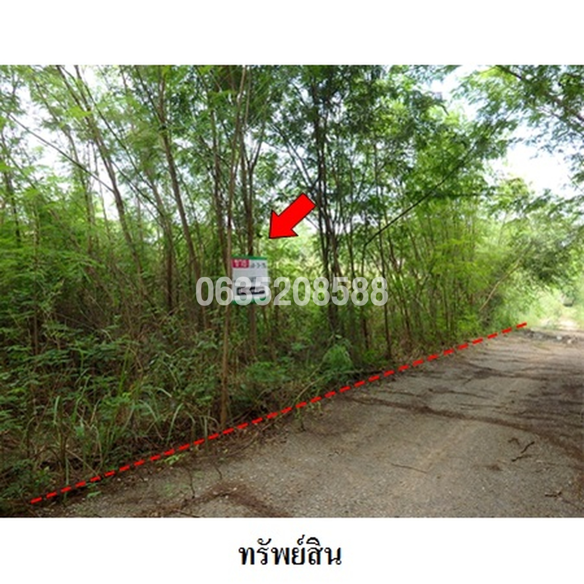 ขายที่ดิน เพชรบูรณ์ฮิลล์ แอนด์ การ์เด้น