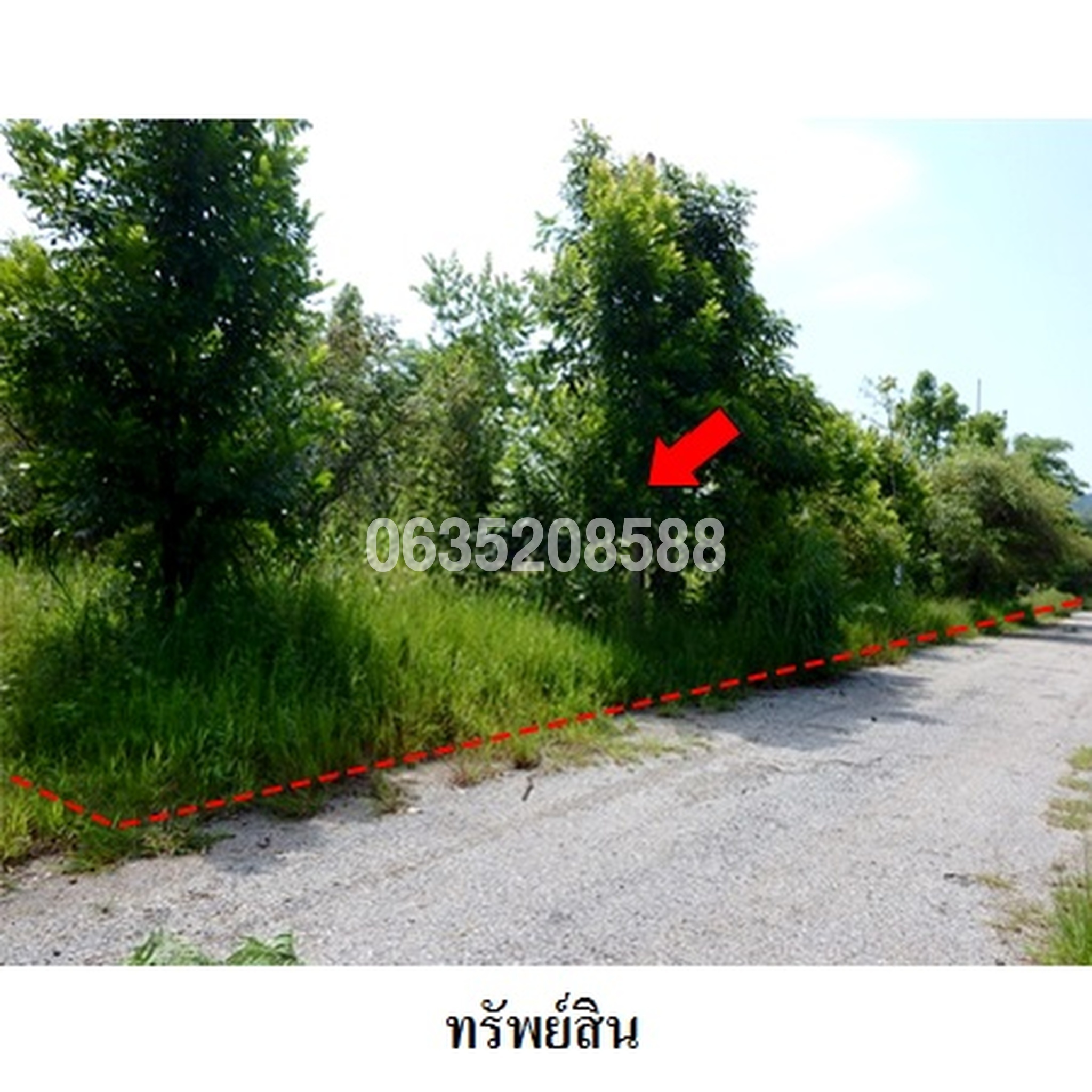 ขายที่ดิน เพชรบูรณ์ฮิลล์ แอนด์ การ์เด้น
