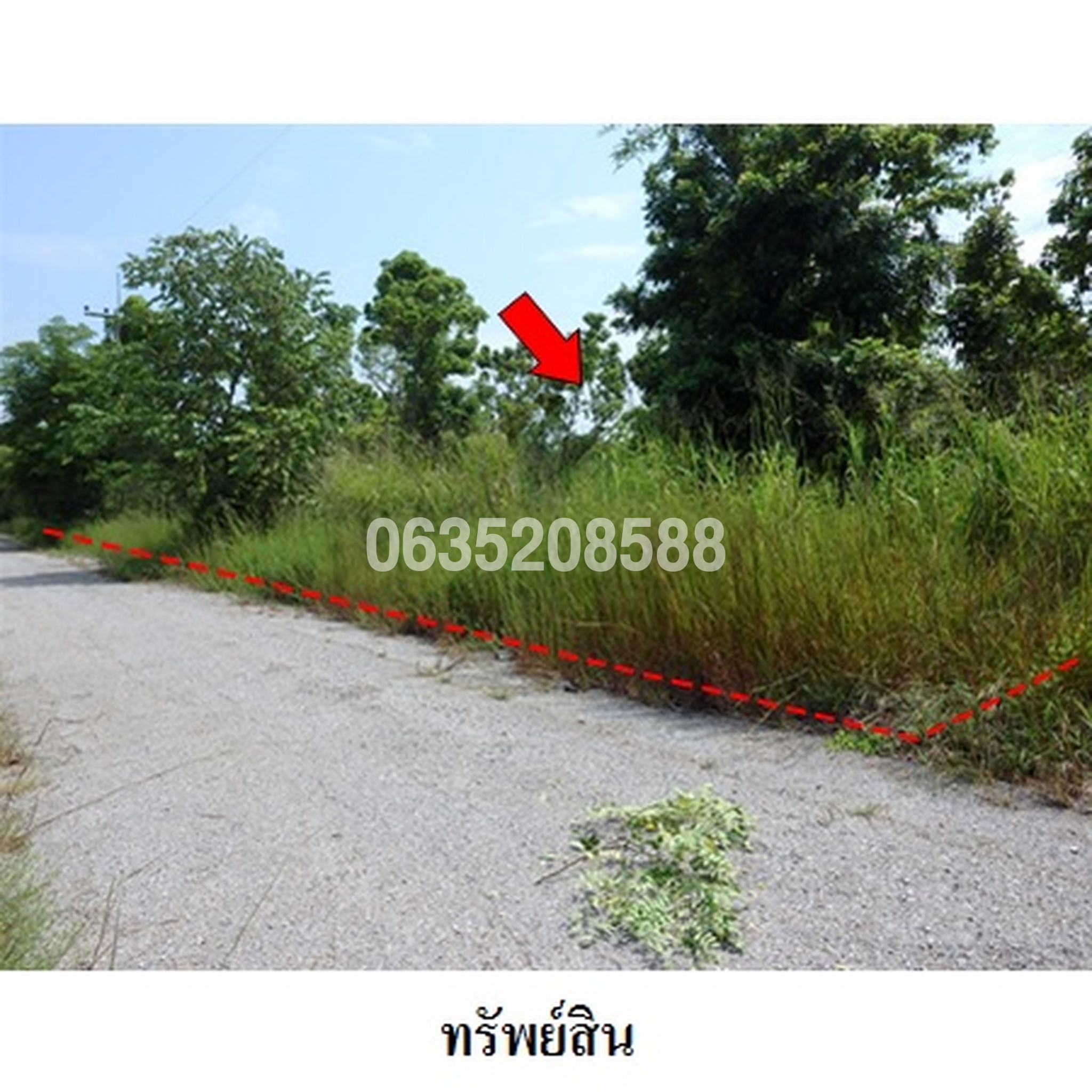 ขายที่ดิน เพชรบูรณ์ฮิลล์ แอนด์ การ์เด้น