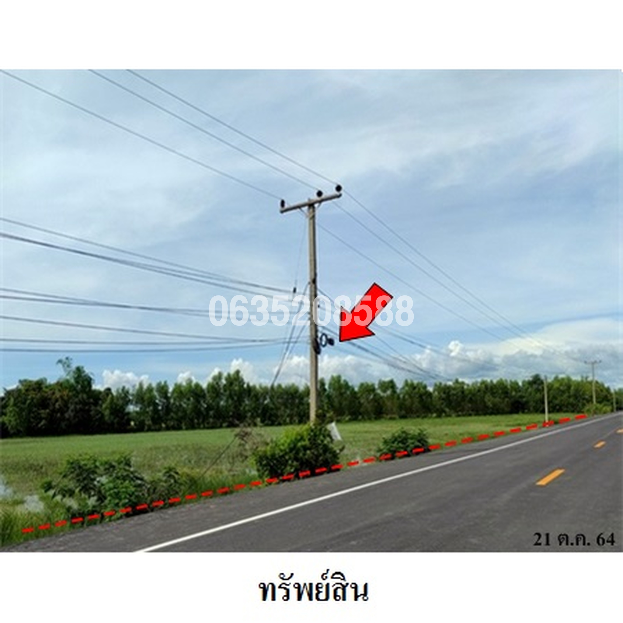 ขายที่ดิน ถนนสายบ้านไพรขลา-บ้านโพนม่วง (สร.4001)