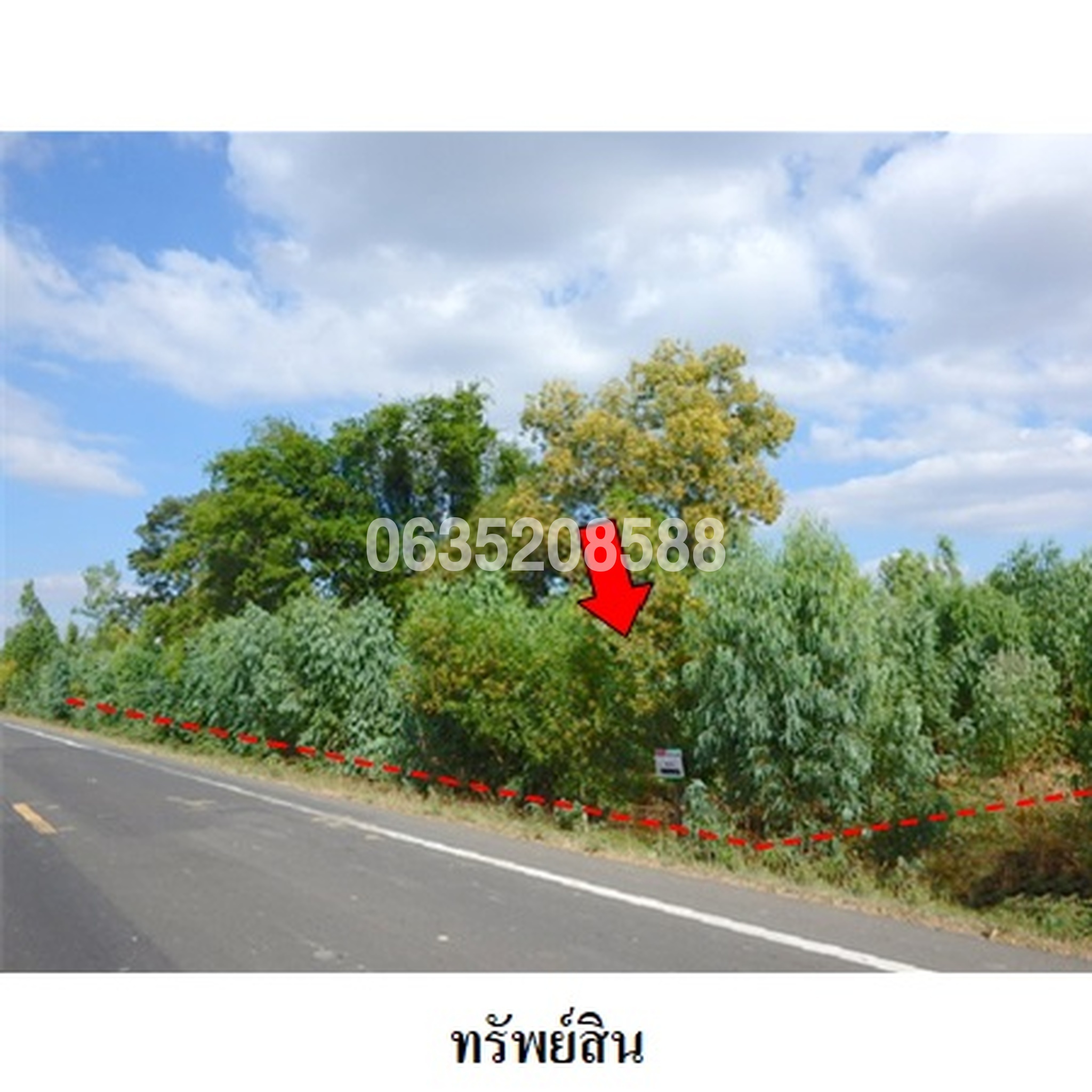 ขายที่ดิน ถนนสายบ้านไพรขลา-บ้านโพนม่วง (สร.4001)