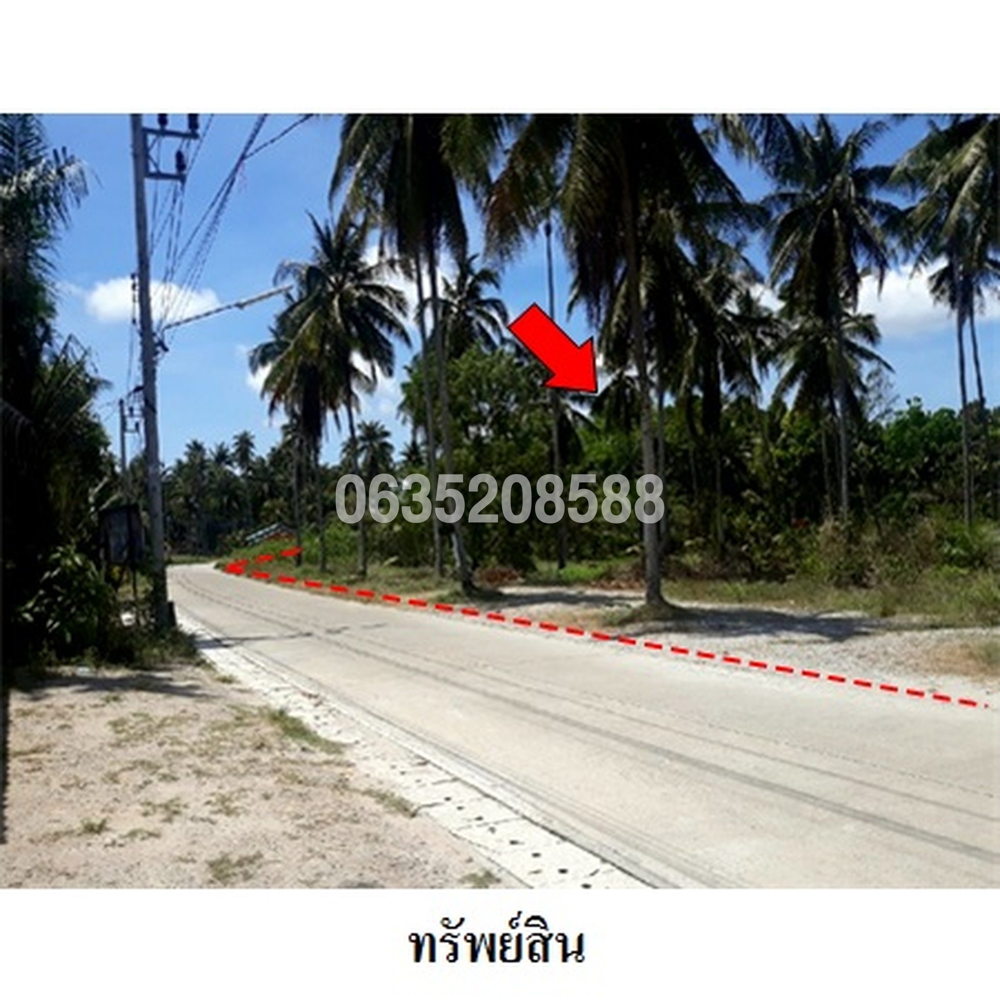 ขายที่ดิน ถนนศิริสุข