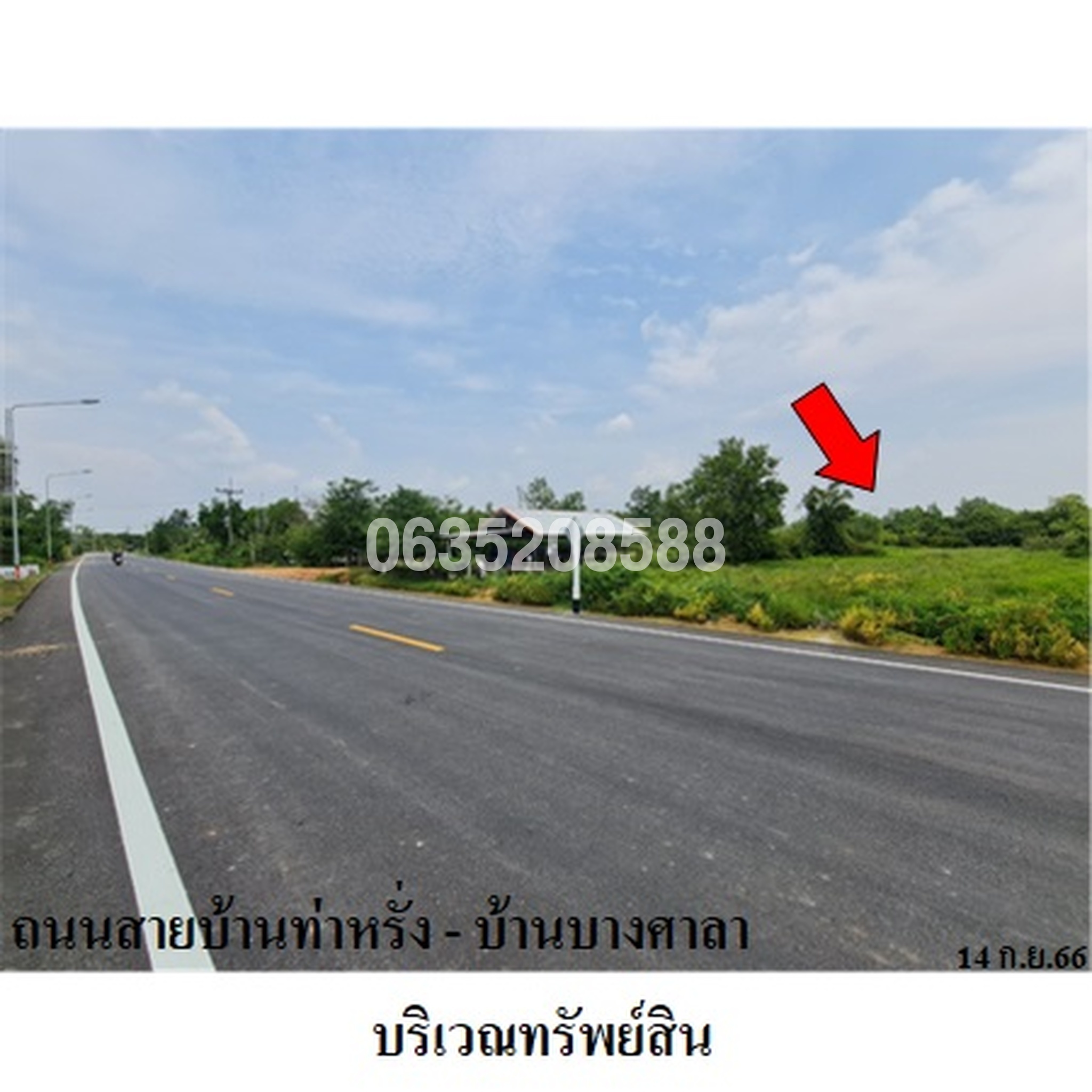 ขายที่ดิน ถนนสายบ้านท่าหรั่ง-บ้านบางศาลา