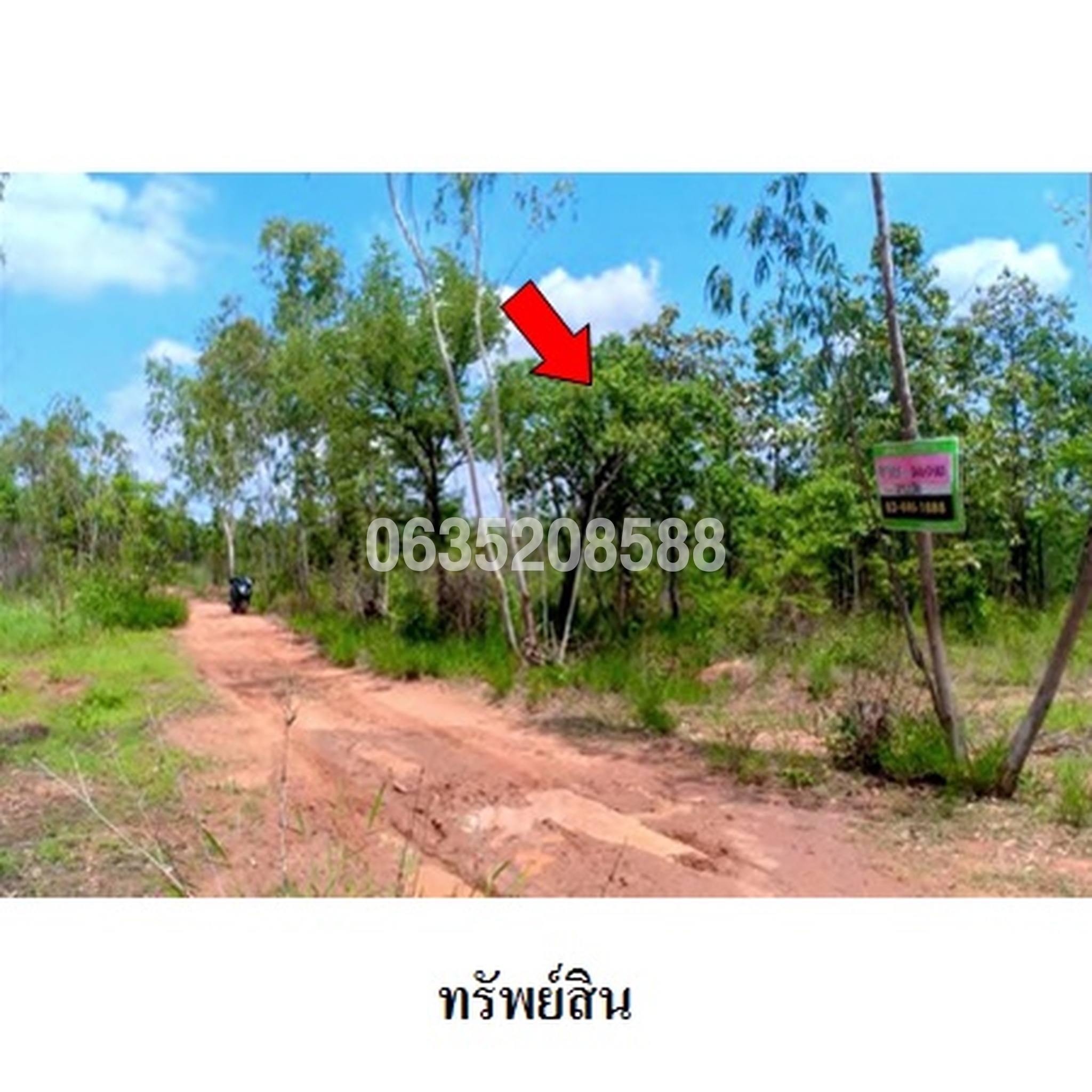 ขายที่ดิน มรกต
