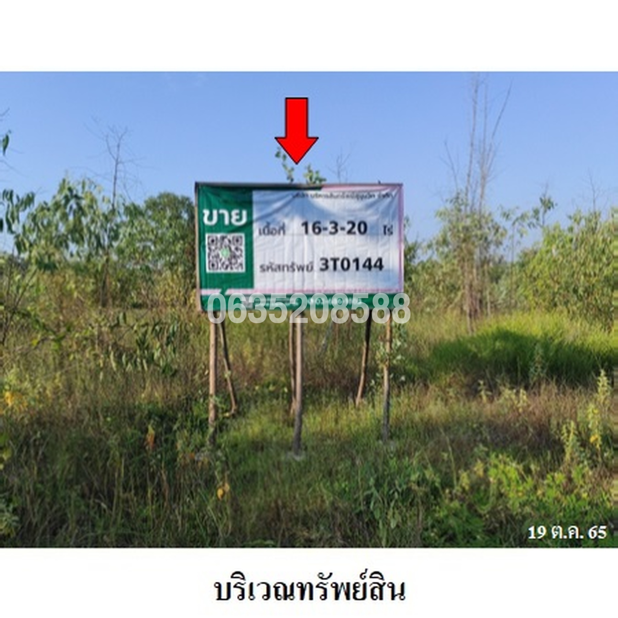 ขายที่ดิน มรกต
