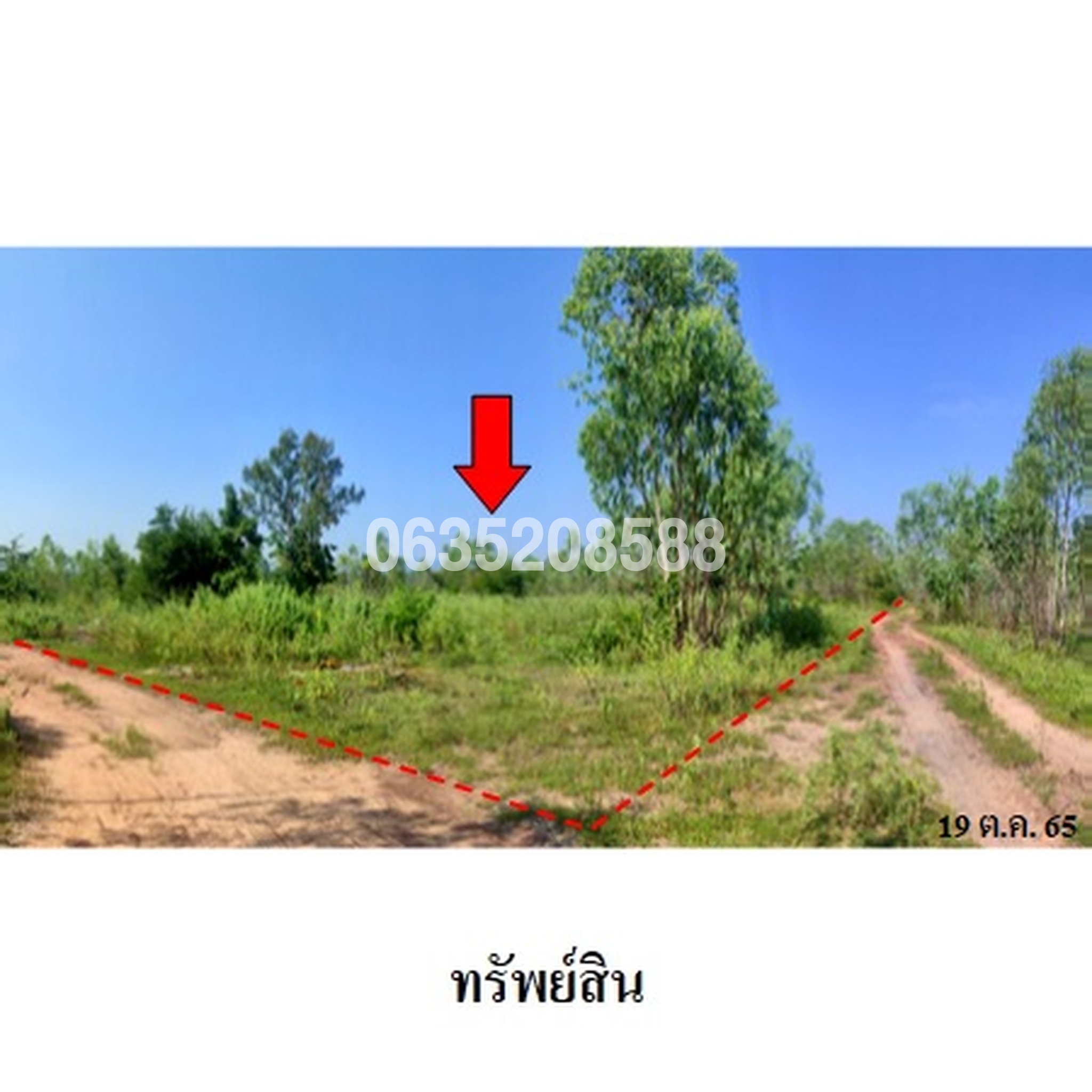 ขายที่ดิน มรกต