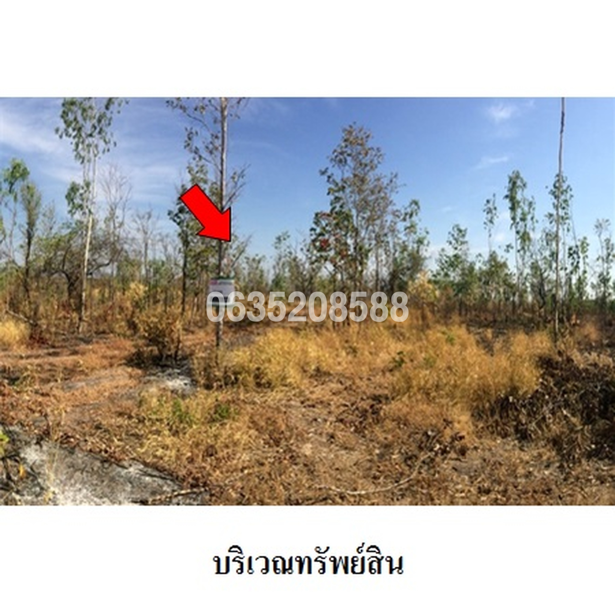 ขายที่ดิน มรกต
