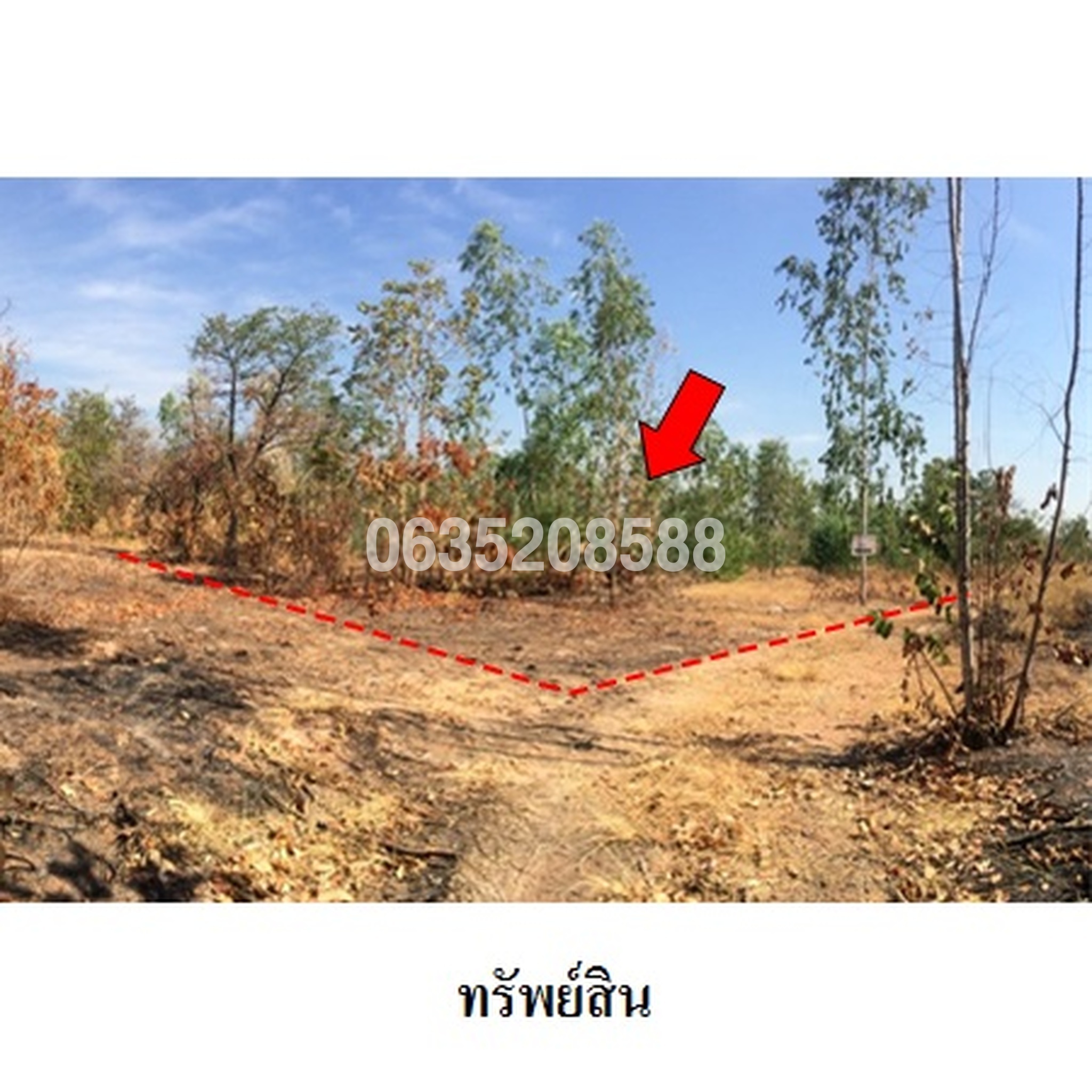 ขายที่ดิน มรกต