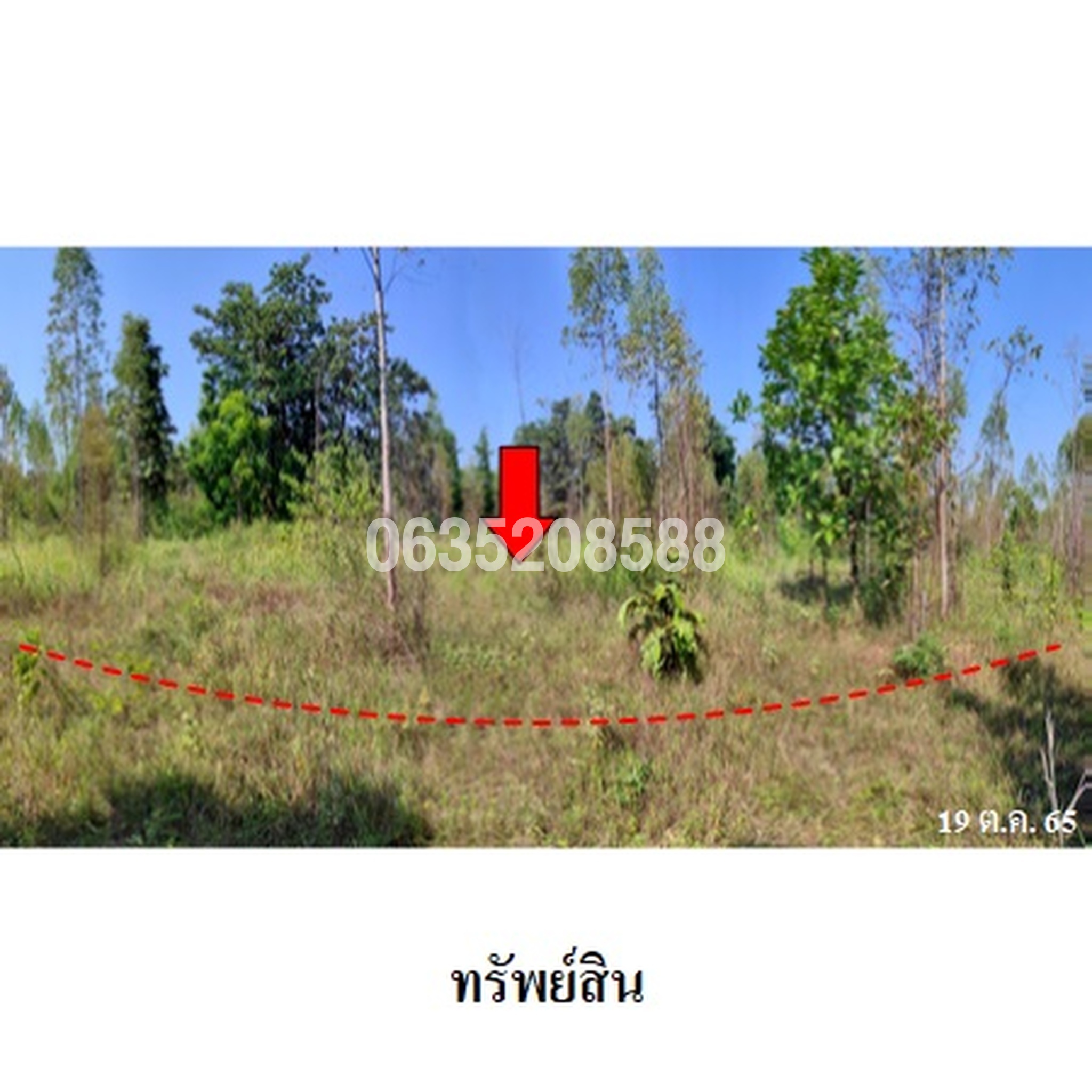ขายที่ดิน มรกต