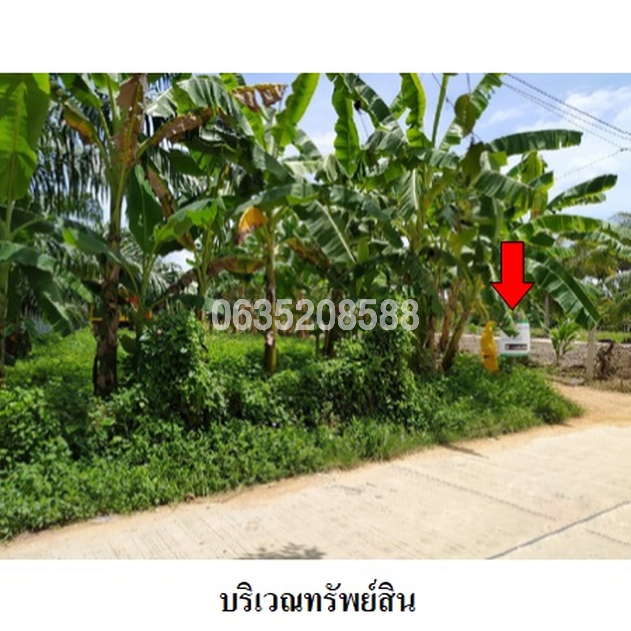 ขายที่ดิน ถนนบ้านแค