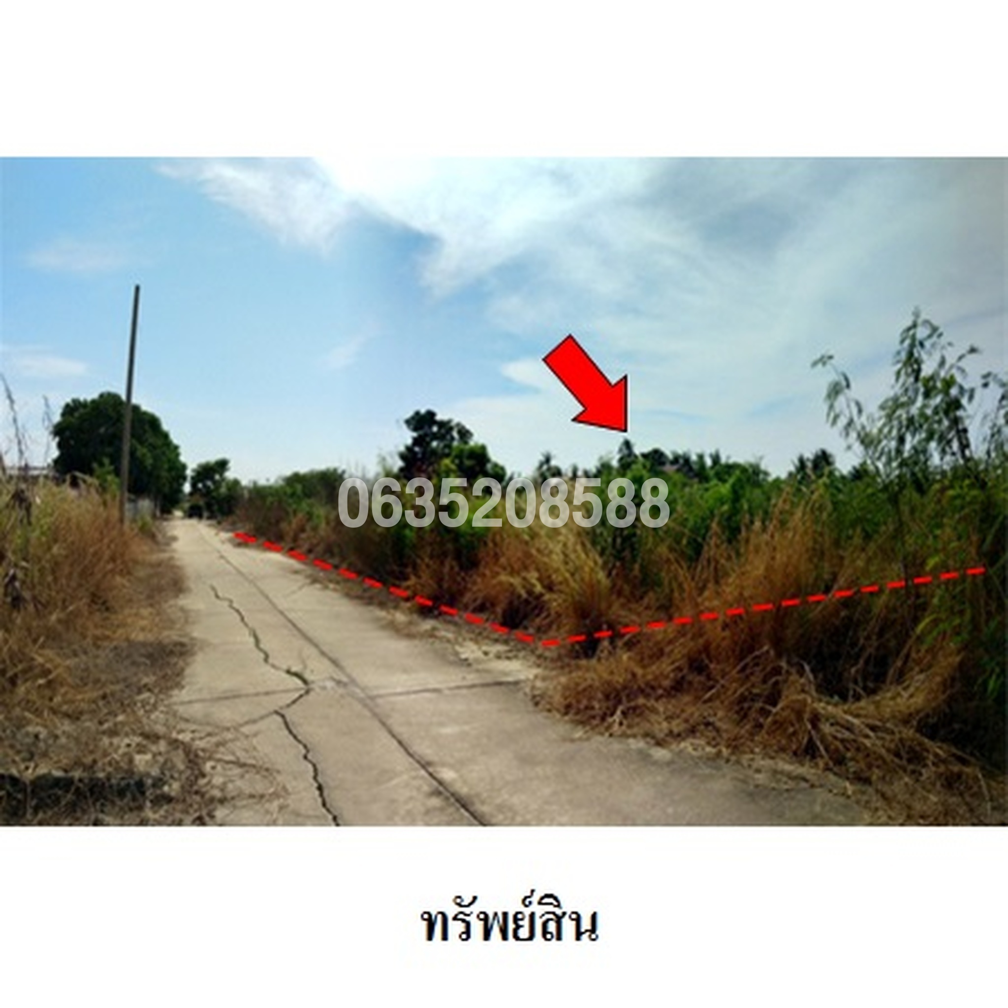 ขายที่ดิน บ้านส่องแสง