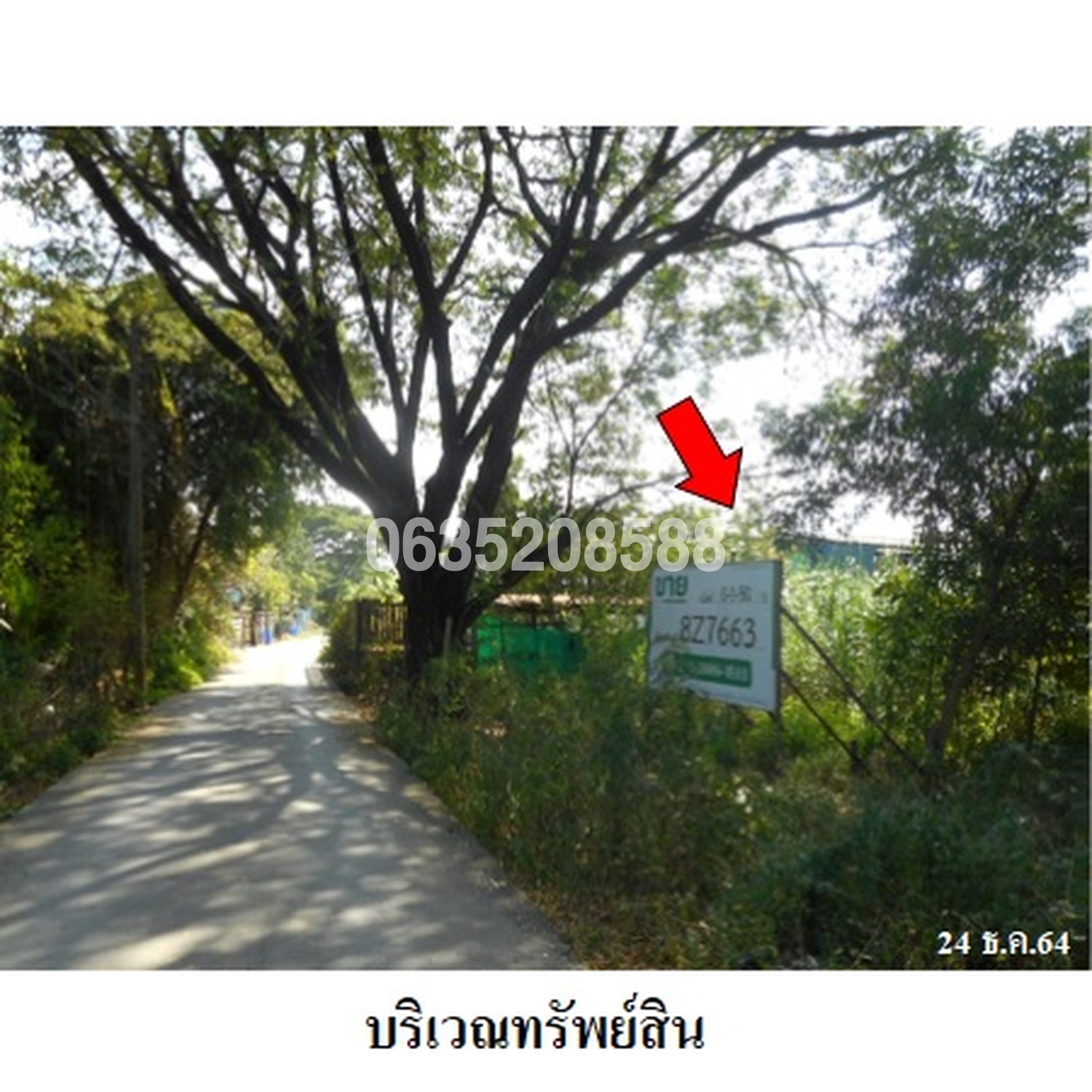 ขายที่ดิน ถนนประชาร่วมใจ
