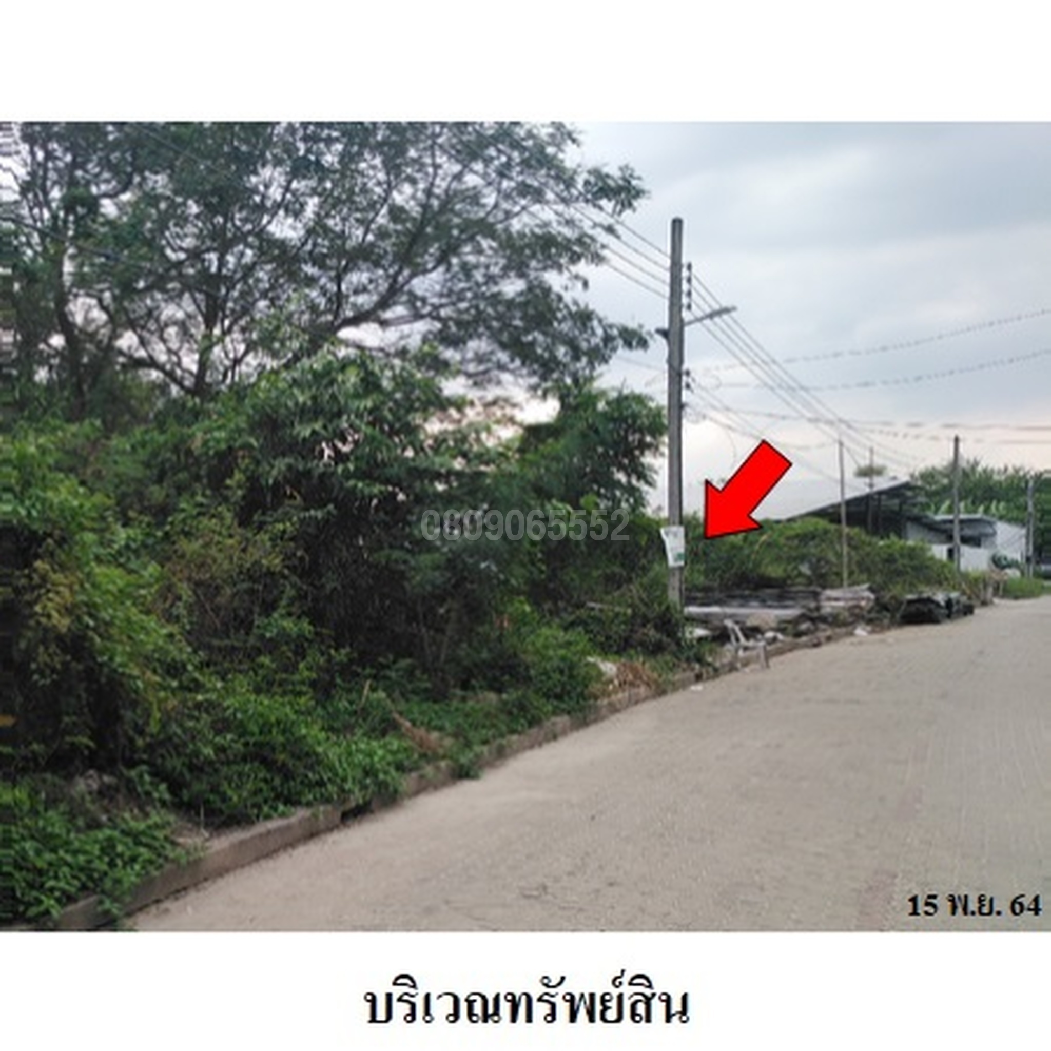 ขายที่ดิน สุทัศนาถ