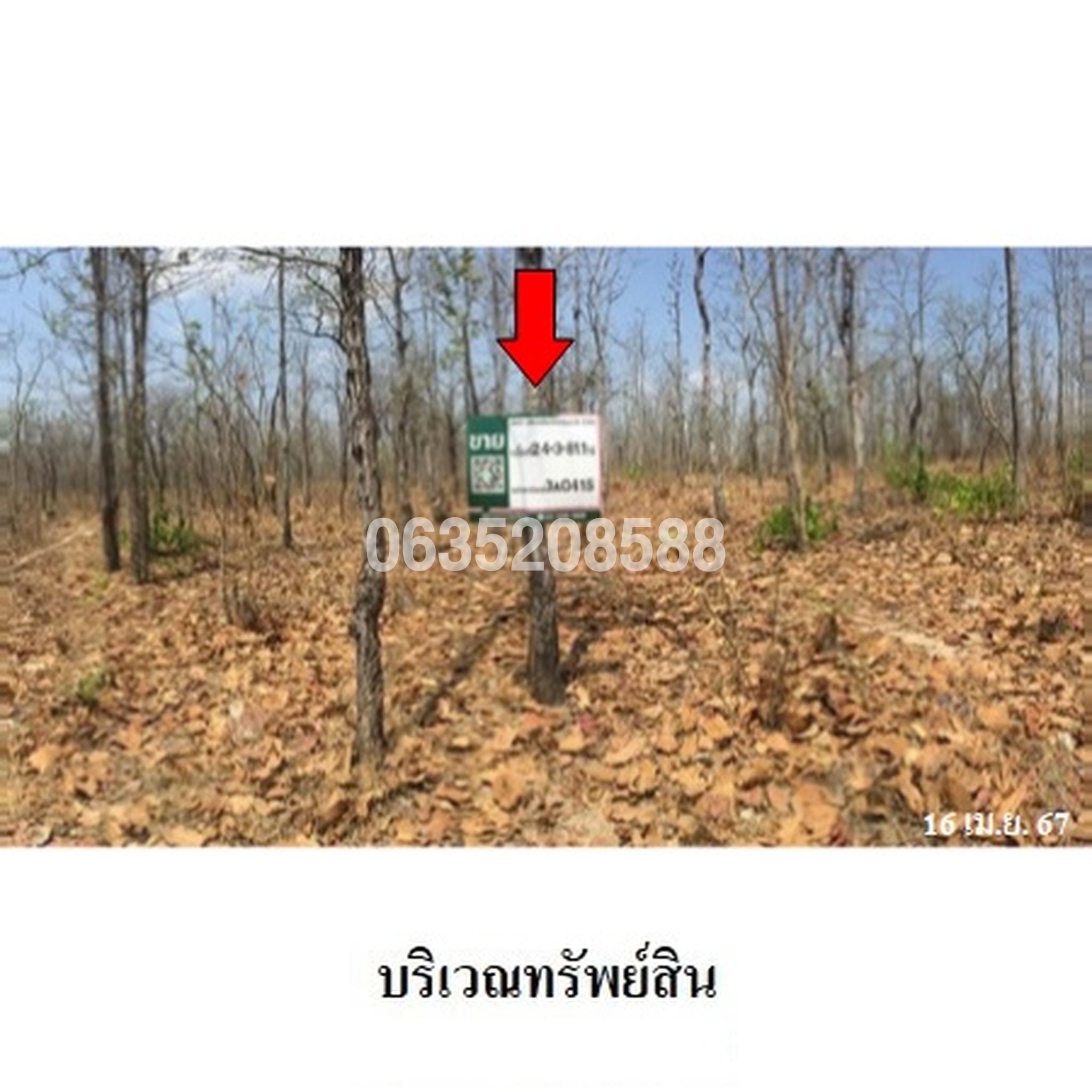 ขายที่ดิน ถนนพหลโยธิน (ทล.1)