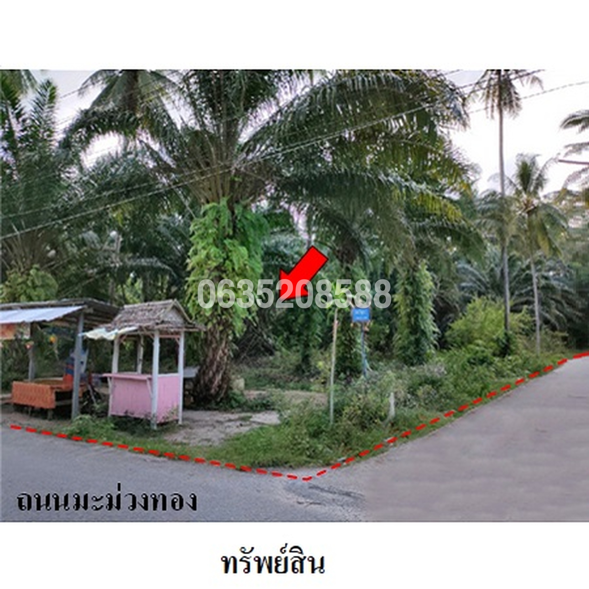 ขายที่ดิน ถนนมะม่วงทอง