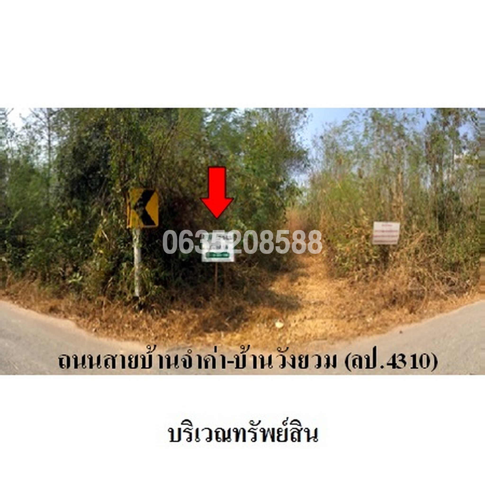 ทรัพย์สถาบันโดย บริษัท บริหารสินทรัพย์สุขุมวิท จำกัด ที่ดิน ถนนสายบ้านจ้าค่า-บ้านวังยวม (ลป.4310)