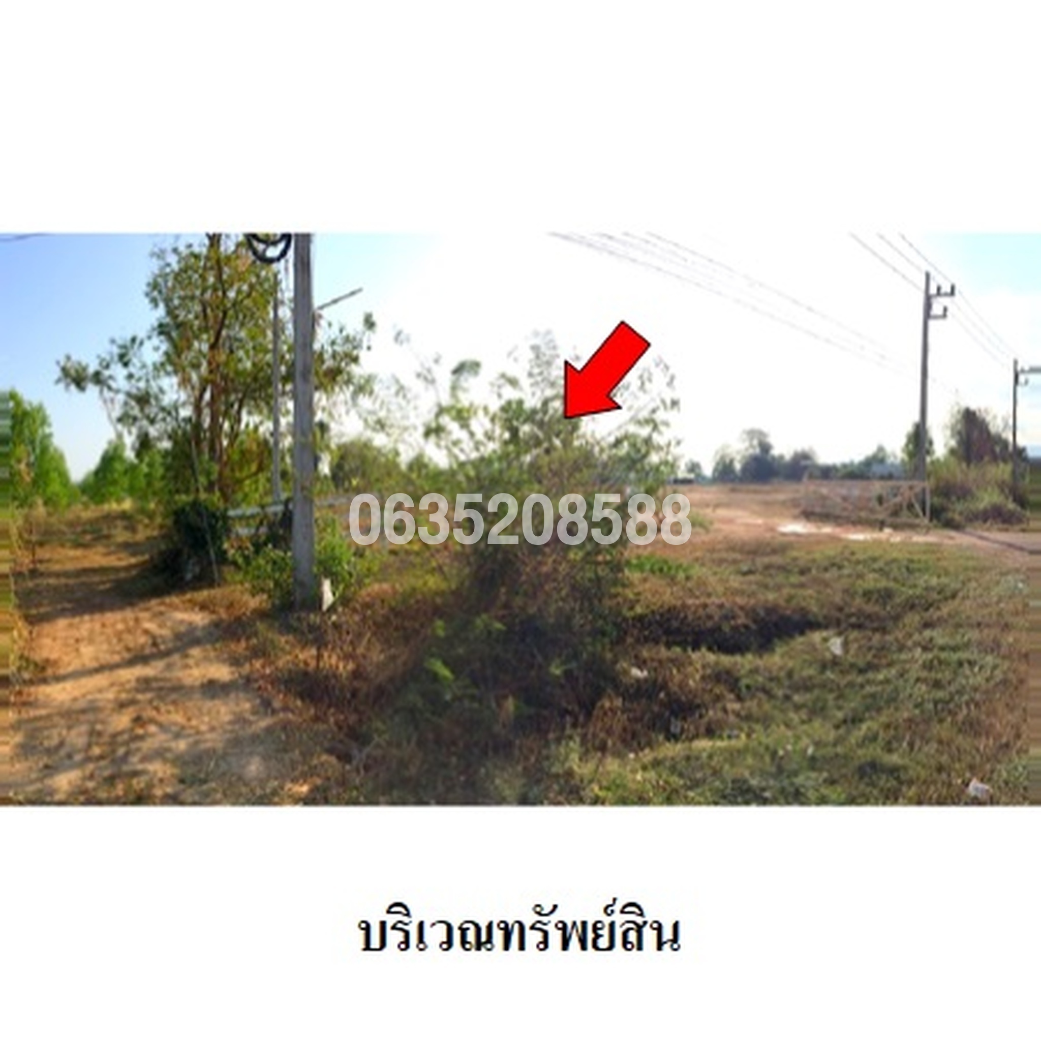 ขายที่ดิน ถนนสายแยกทล.101-อุทยานแห่งชาติรามคำแหง