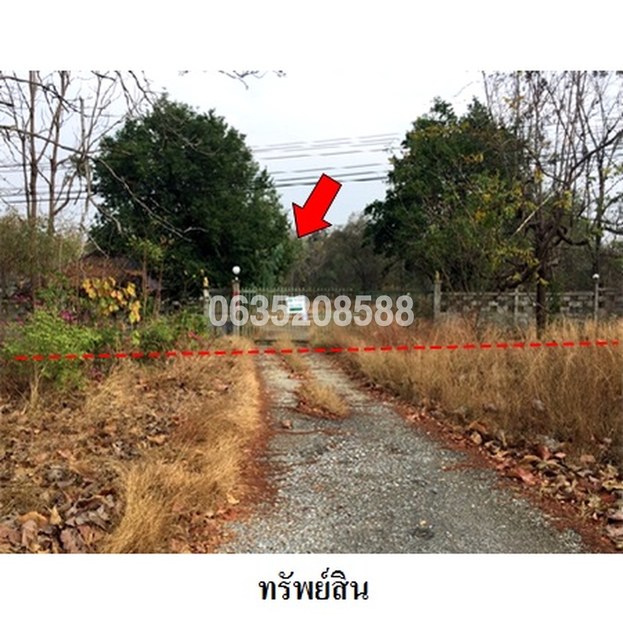 ขายที่ดิน ถนนพหลโยธิน (ทล.1)