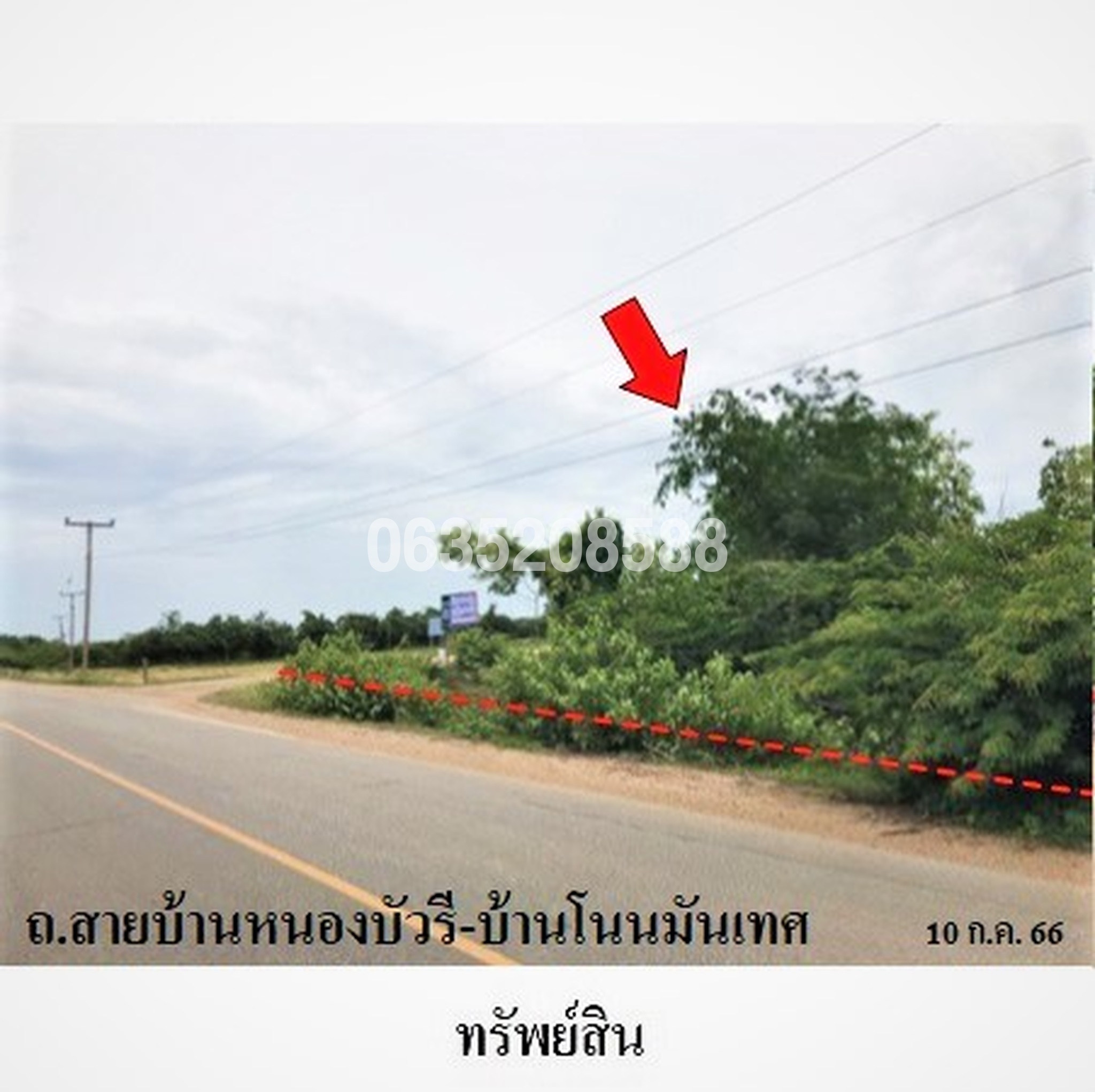 ขายที่ดิน ถนนสายบ้านหนองบัวรี-บ้านโนนมันเทศ