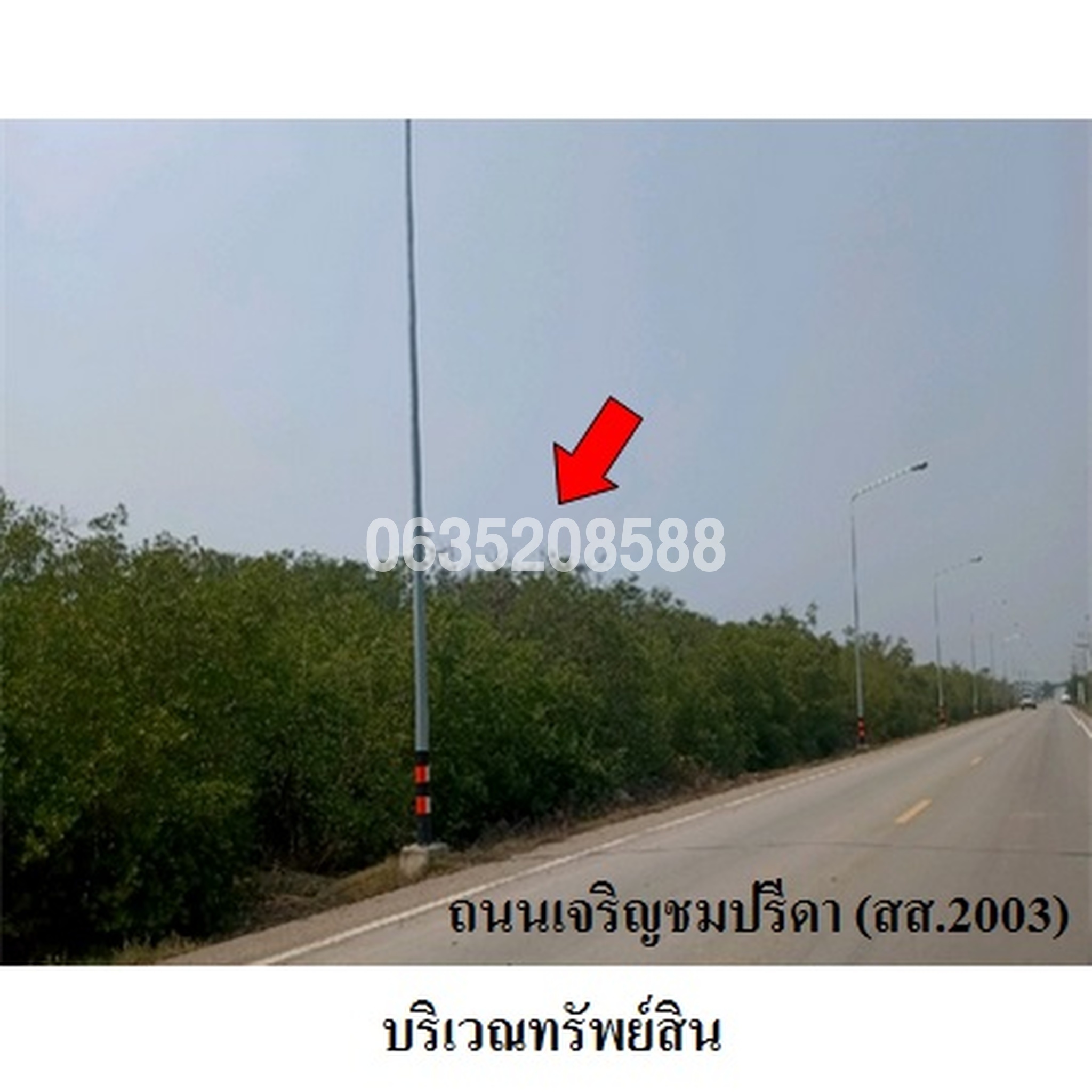 ทรัพย์สถาบันโดย บริษัท บริหารสินทรัพย์สุขุมวิท จำกัด ที่ดิน ถนนเจริญชมปรีดา (สส.2003)