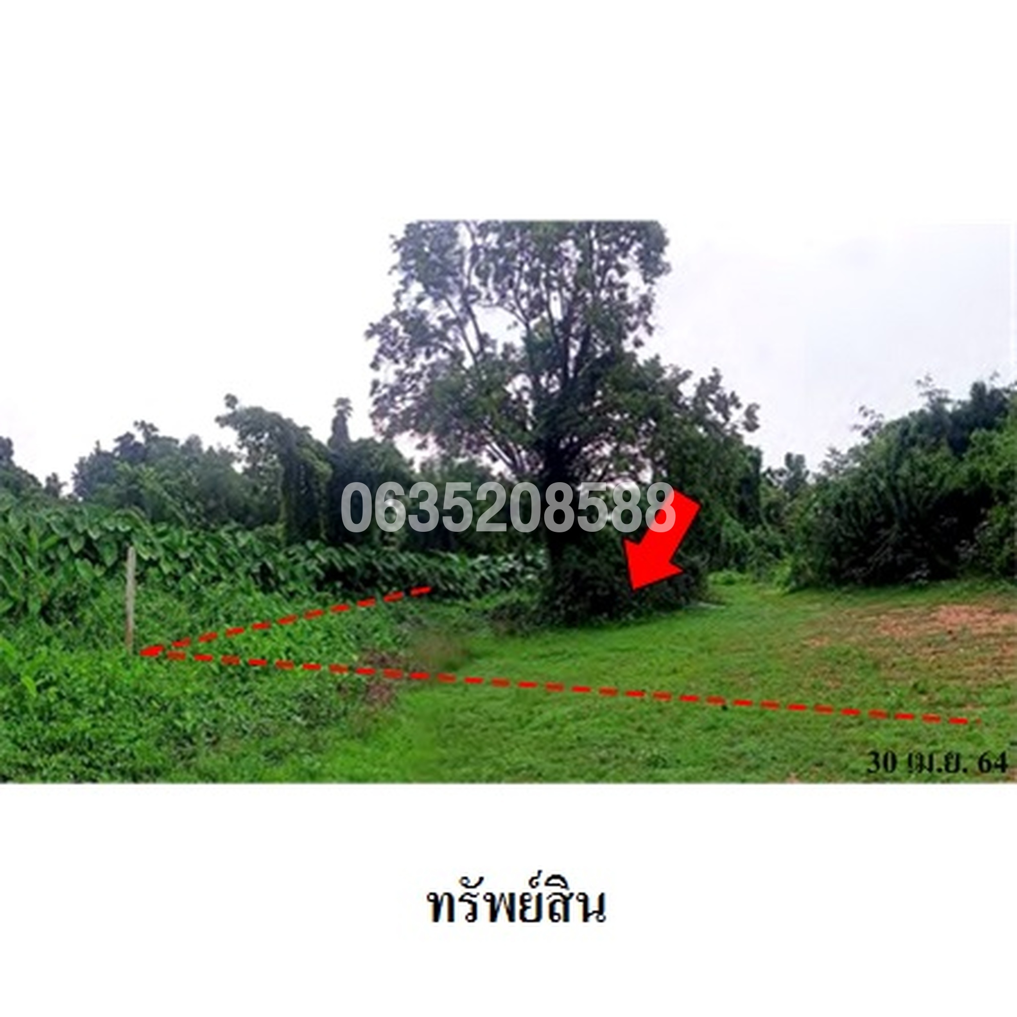ขายที่ดิน ซอยบ้านบุใหญ่ ถนนมิตรภาพ (ทล.2)