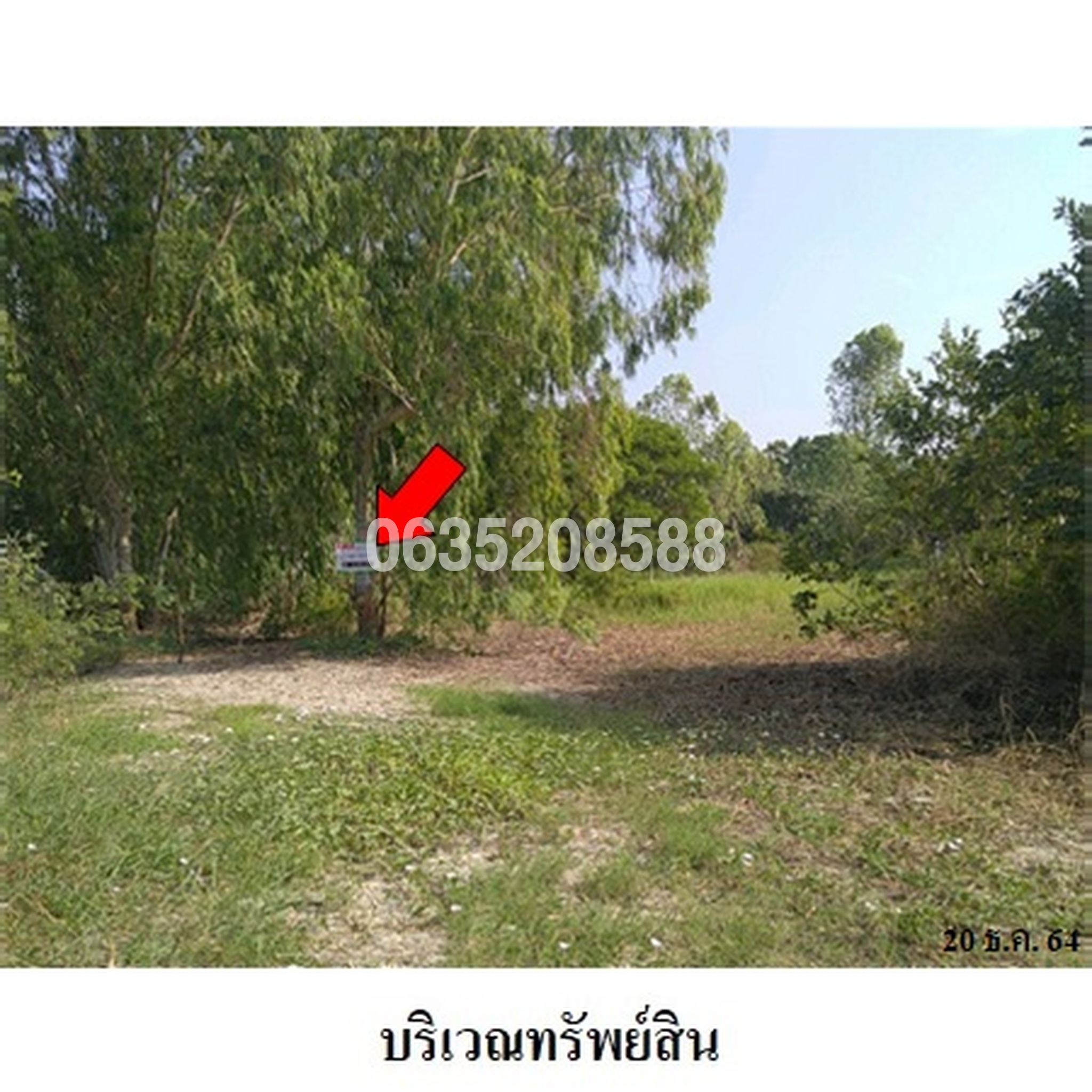 ขายที่ดิน ถนนสุพรรณบุรี-ชัยนาท (ทล. 340)