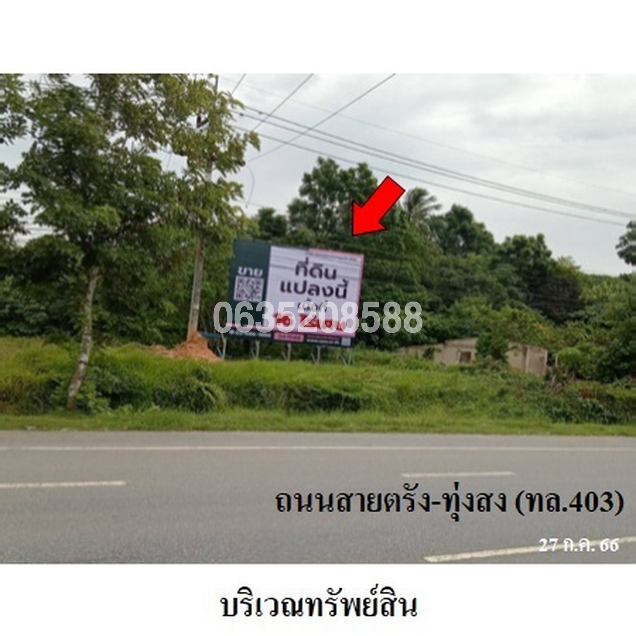ขายที่ดิน ถนนตรัง-ทุ่งสง (ทล. 403)