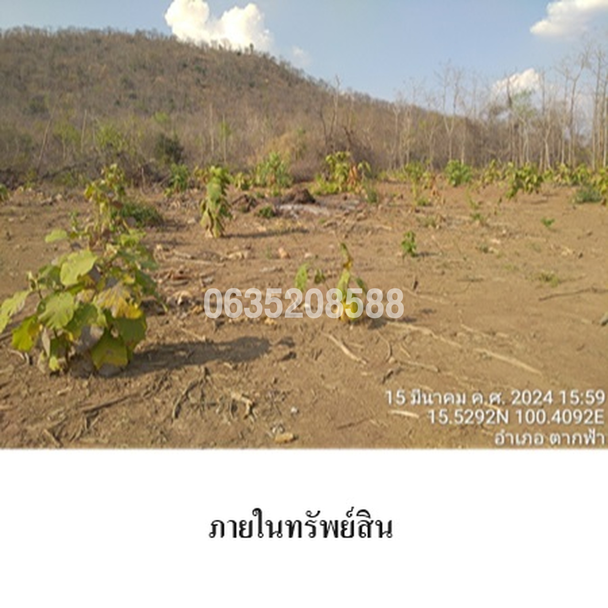 ขายที่ดิน ถนนบ้านหลักสิบเท้า-บ้านเขาขาด (นว.4010)
