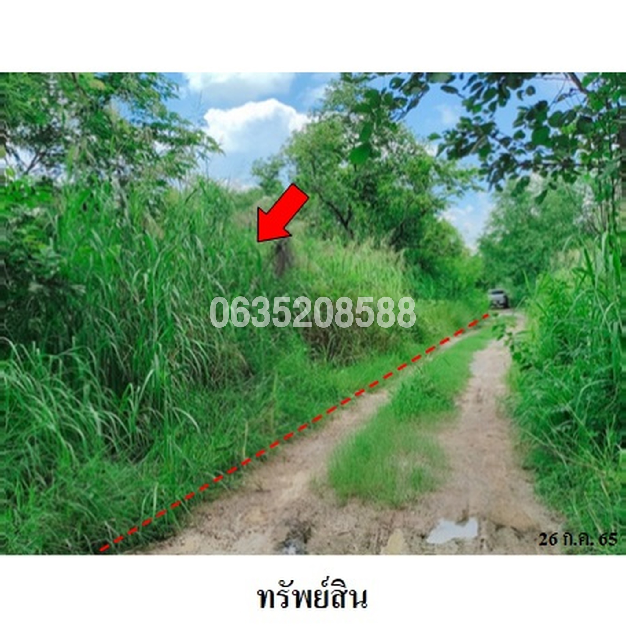 ขายที่ดิน เพชรบูรณ์ฮิลล์ แอนด์ การ์เด้น