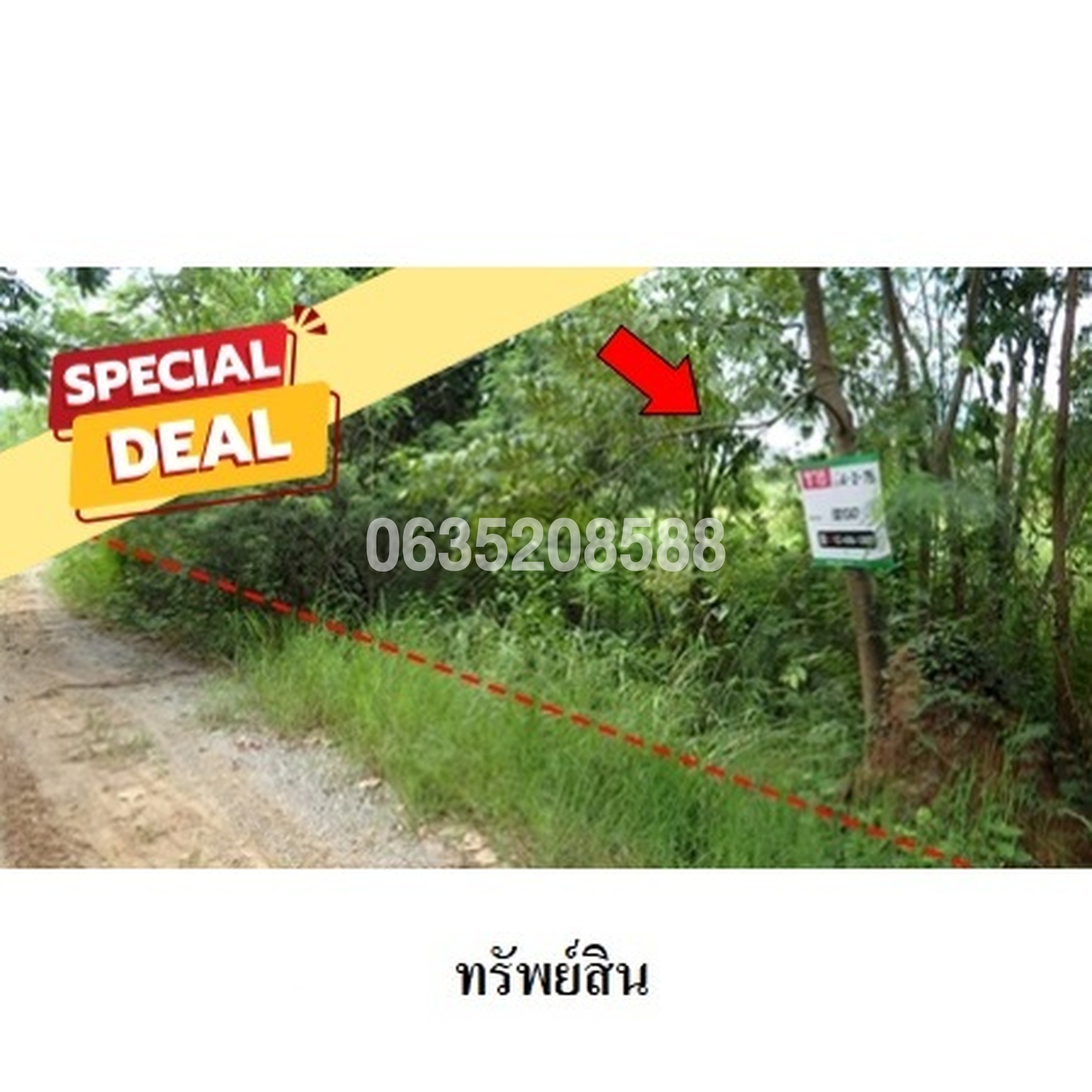 ขายที่ดิน เพชรบูรณ์ฮิลล์ แอนด์ การ์เด้น