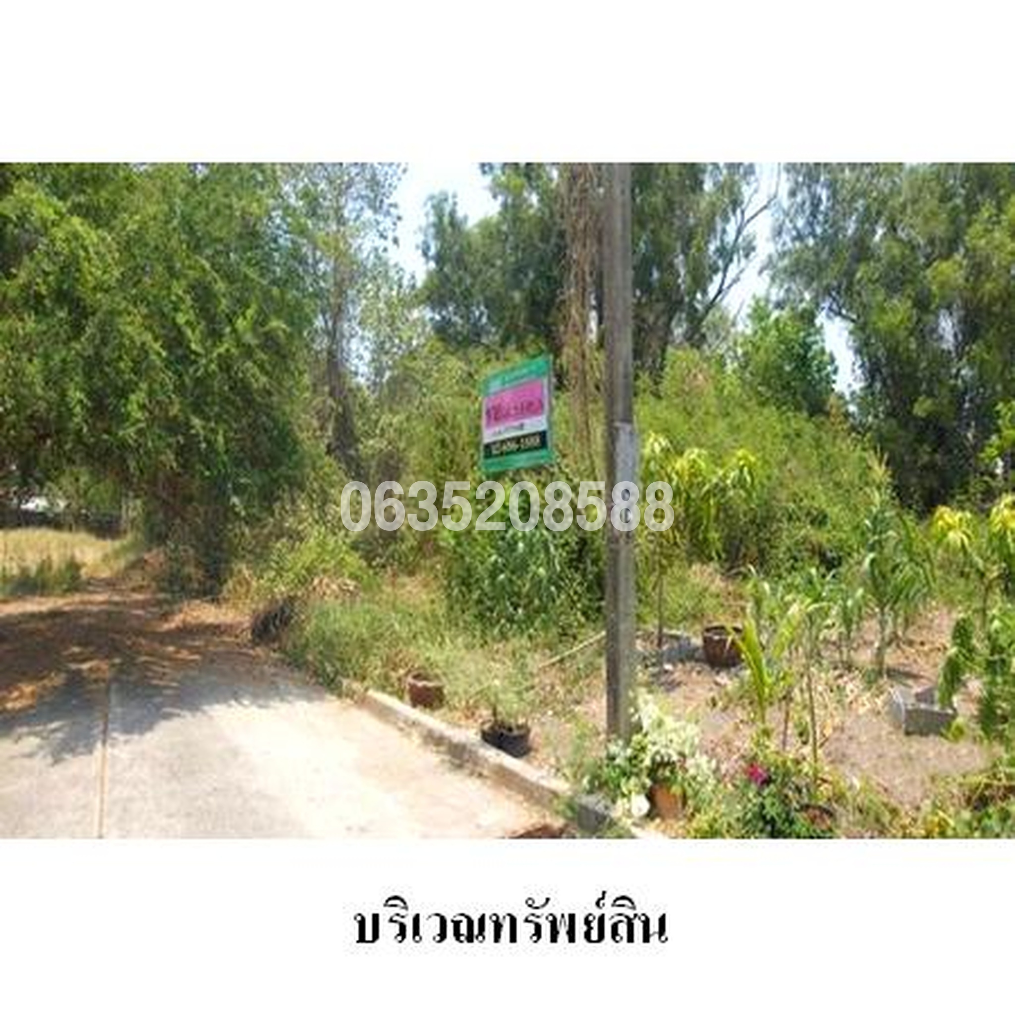 ขายที่ดิน ธานนท์ กอล์ฟวิว แอนด์ สปอร์ตคลับ