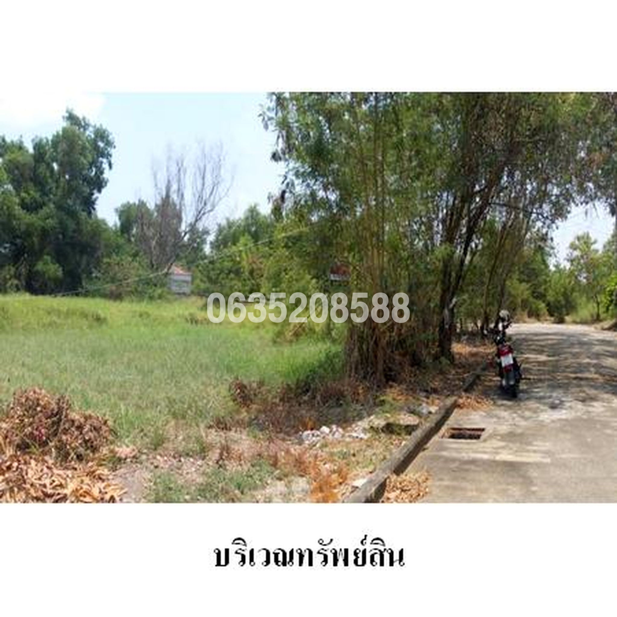 ขายที่ดิน ธานนท์ กอล์ฟวิว แอนด์ สปอร์ตคลับ