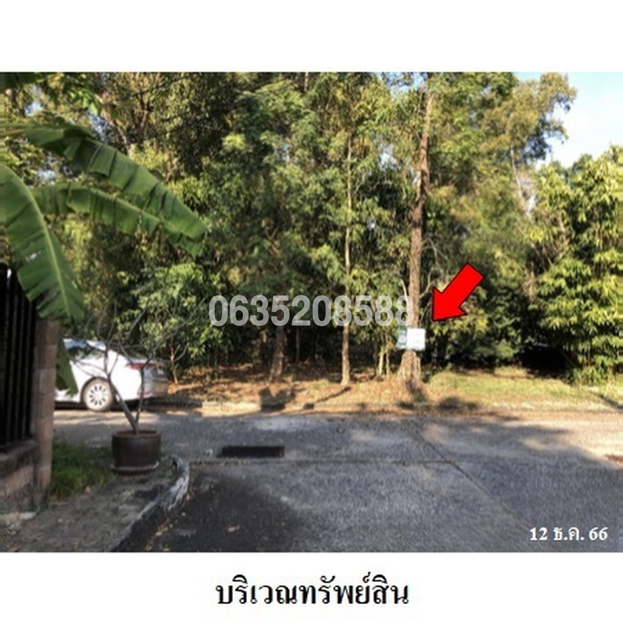 ขายที่ดิน ธานนท์ กอล์ฟวิว แอนด์ สปอร์ตคลับ