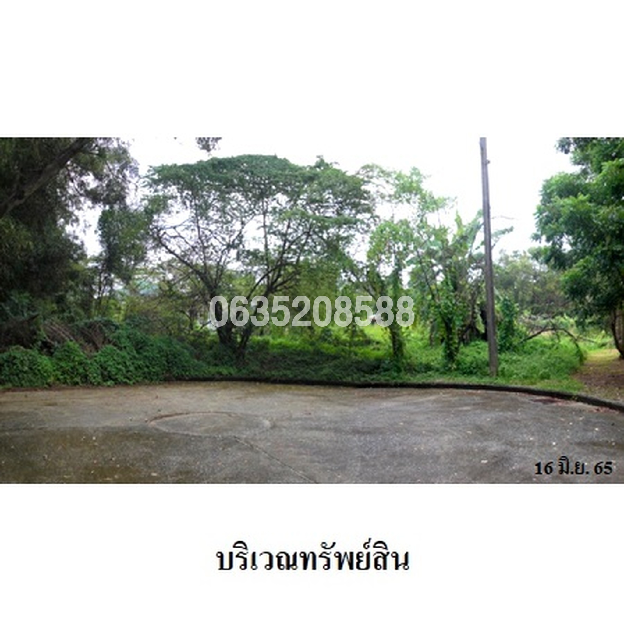 ขายที่ดิน ธานนท์ กอล์ฟวิว แอนด์ สปอร์ตคลับ