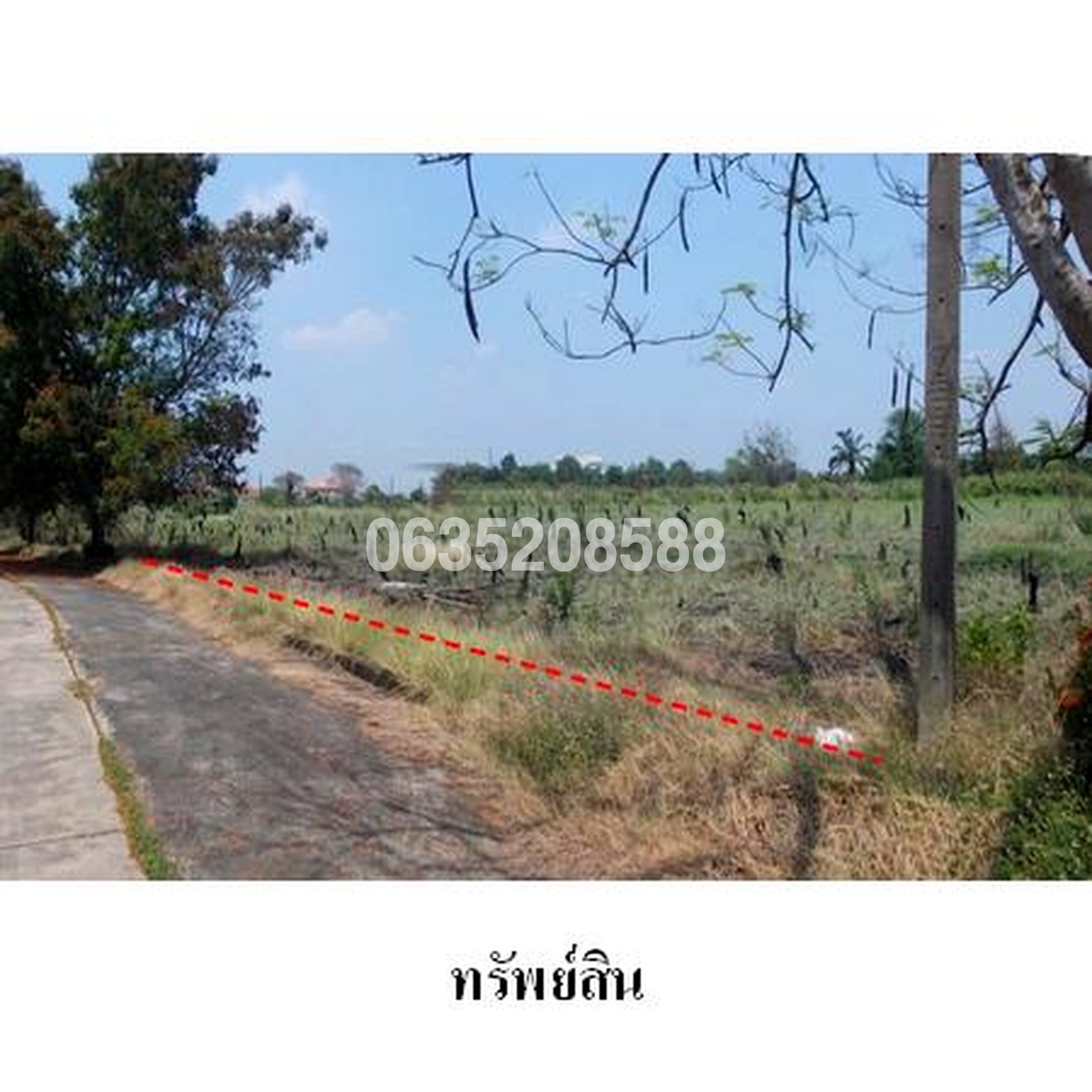 ขายที่ดิน ธานนท์ กอล์ฟวิว แอนด์ สปอร์ตคลับ