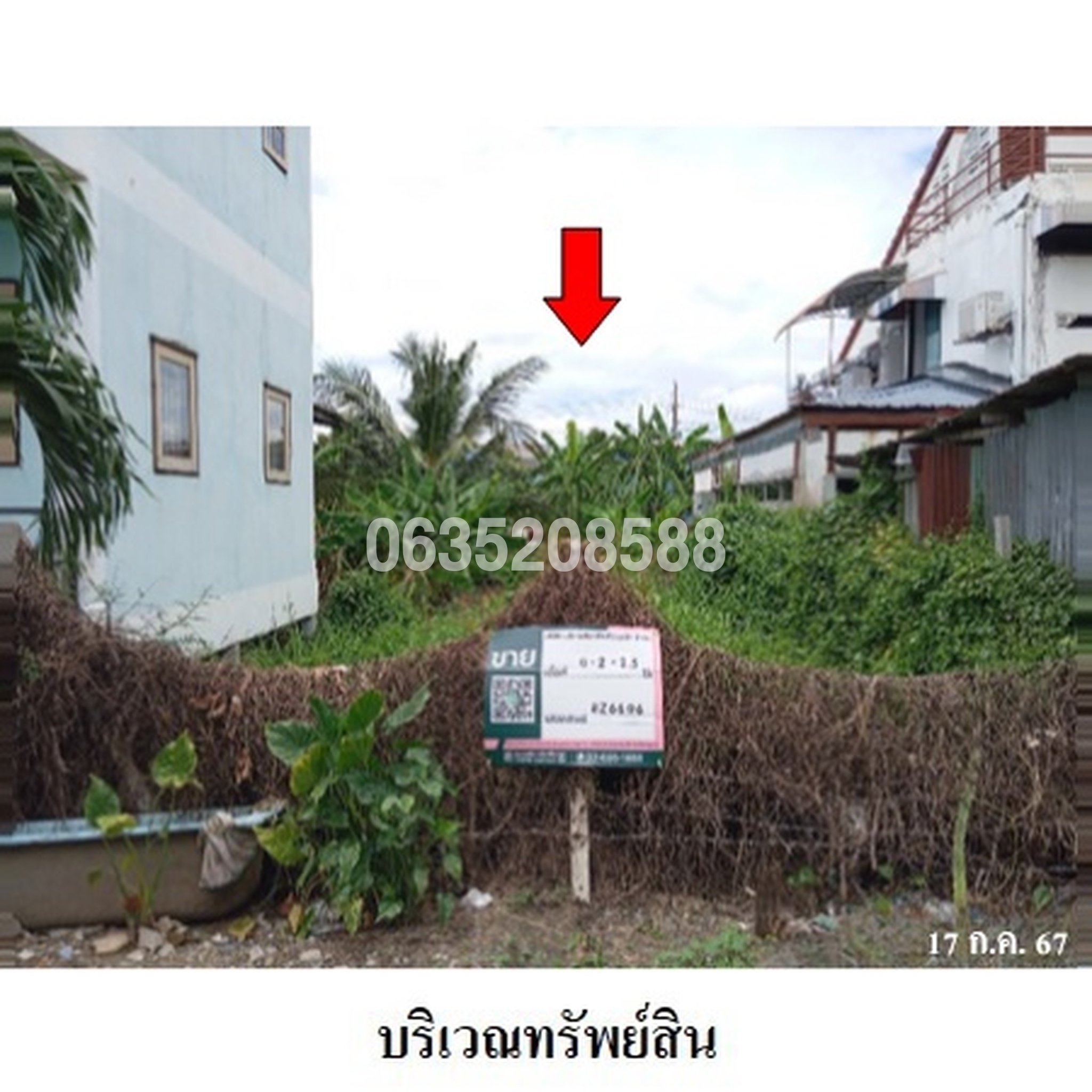ขายที่ดิน ซอยสวนผัก 50 แยก 3 ถนนสวนผัก