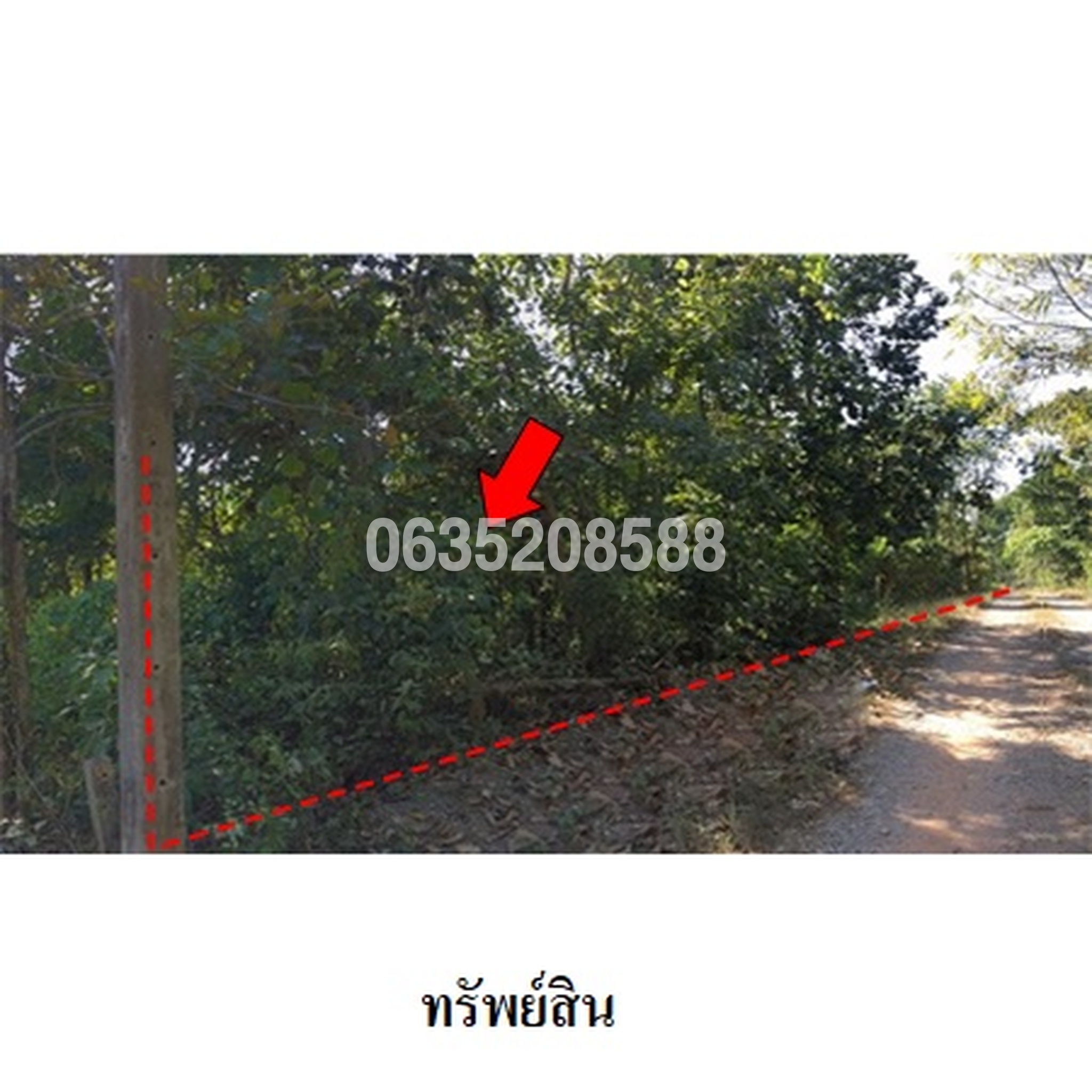 ขายที่ดิน ถนนพหลโยธิน (ทล.1)