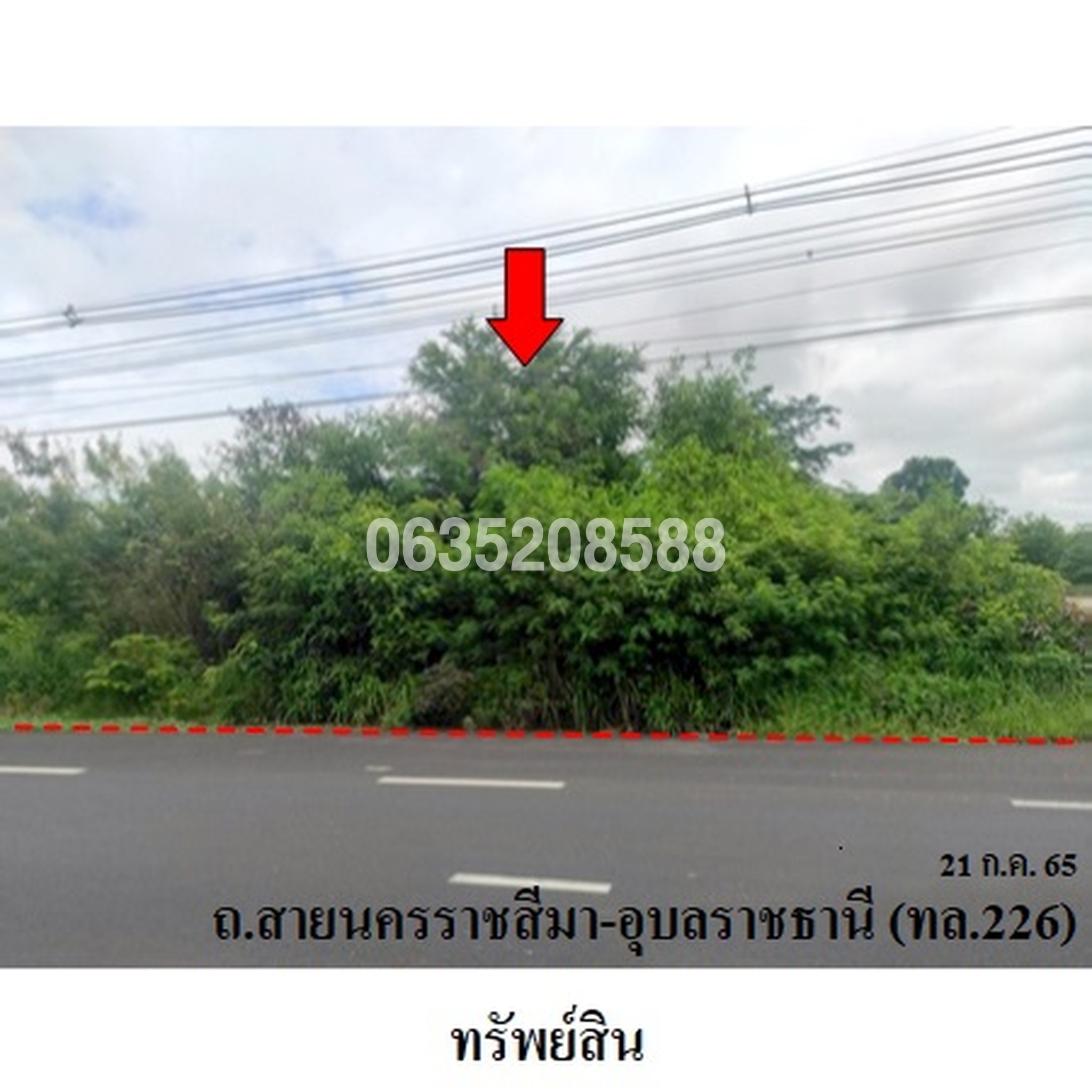 ขายที่ดิน ถนนสายนครราชสีมา-อุบลราชธานี (ทล.226)