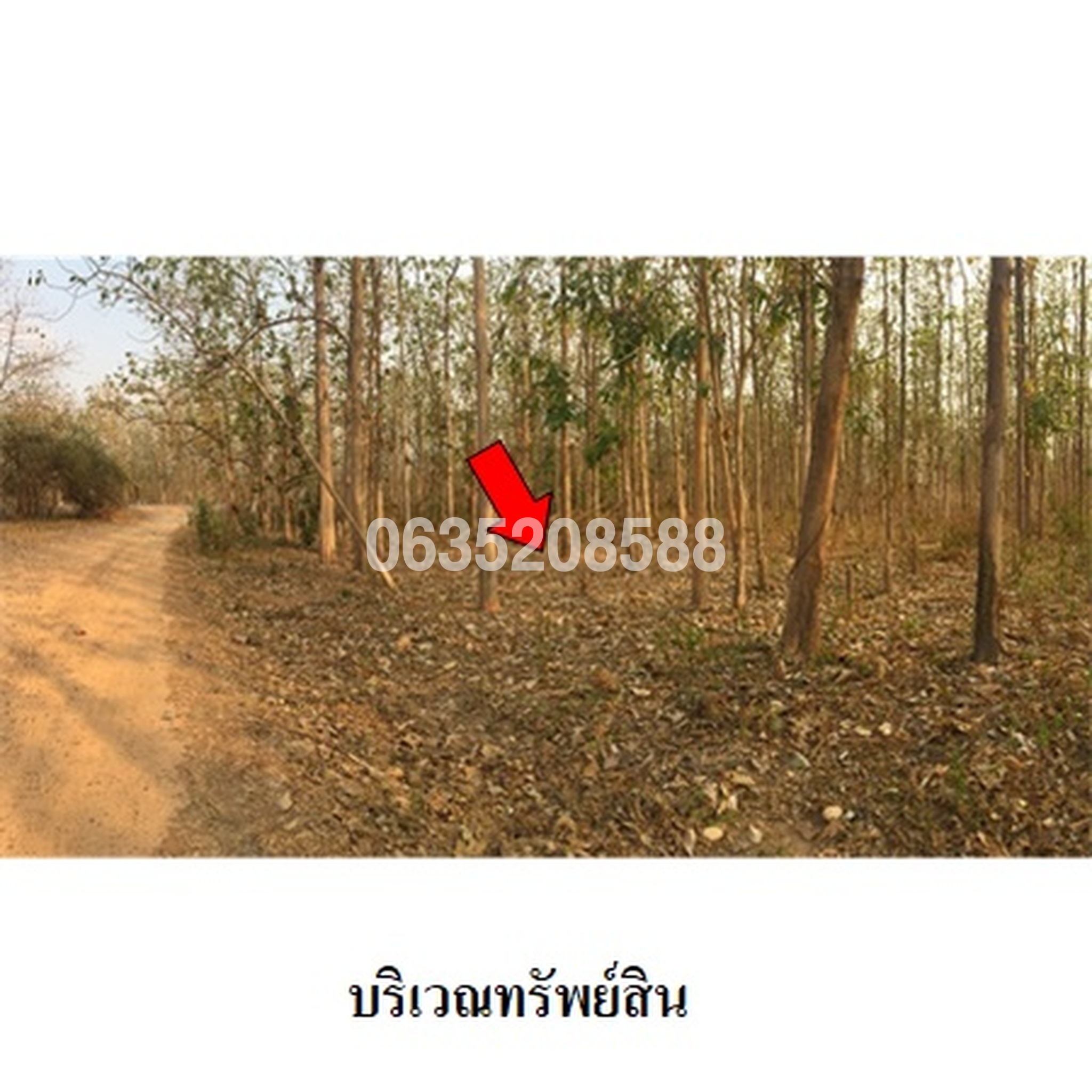 ขายที่ดิน เสริมทรัพย์สักทอง