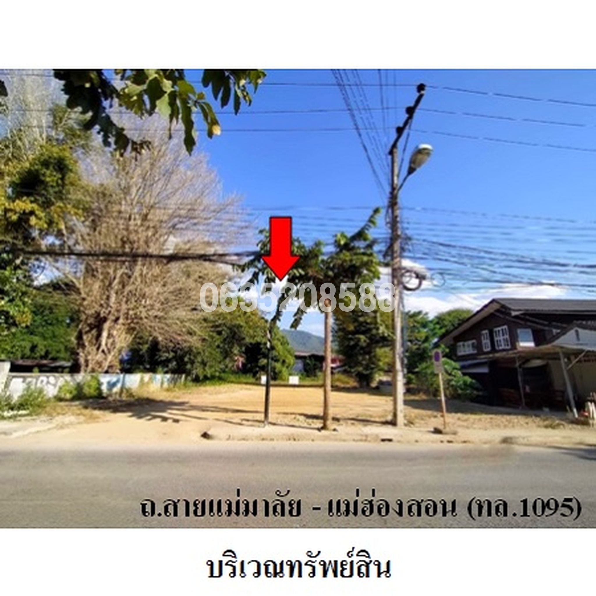 ขายที่ดิน ถนนสายแม่มาลัย-แม่ฮ่องสอน (ทล.1095)