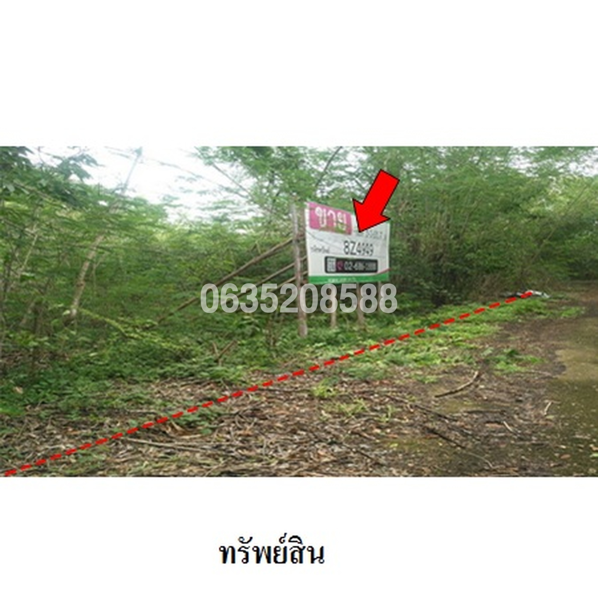 ขายที่ดิน หาดแสงอรุณ