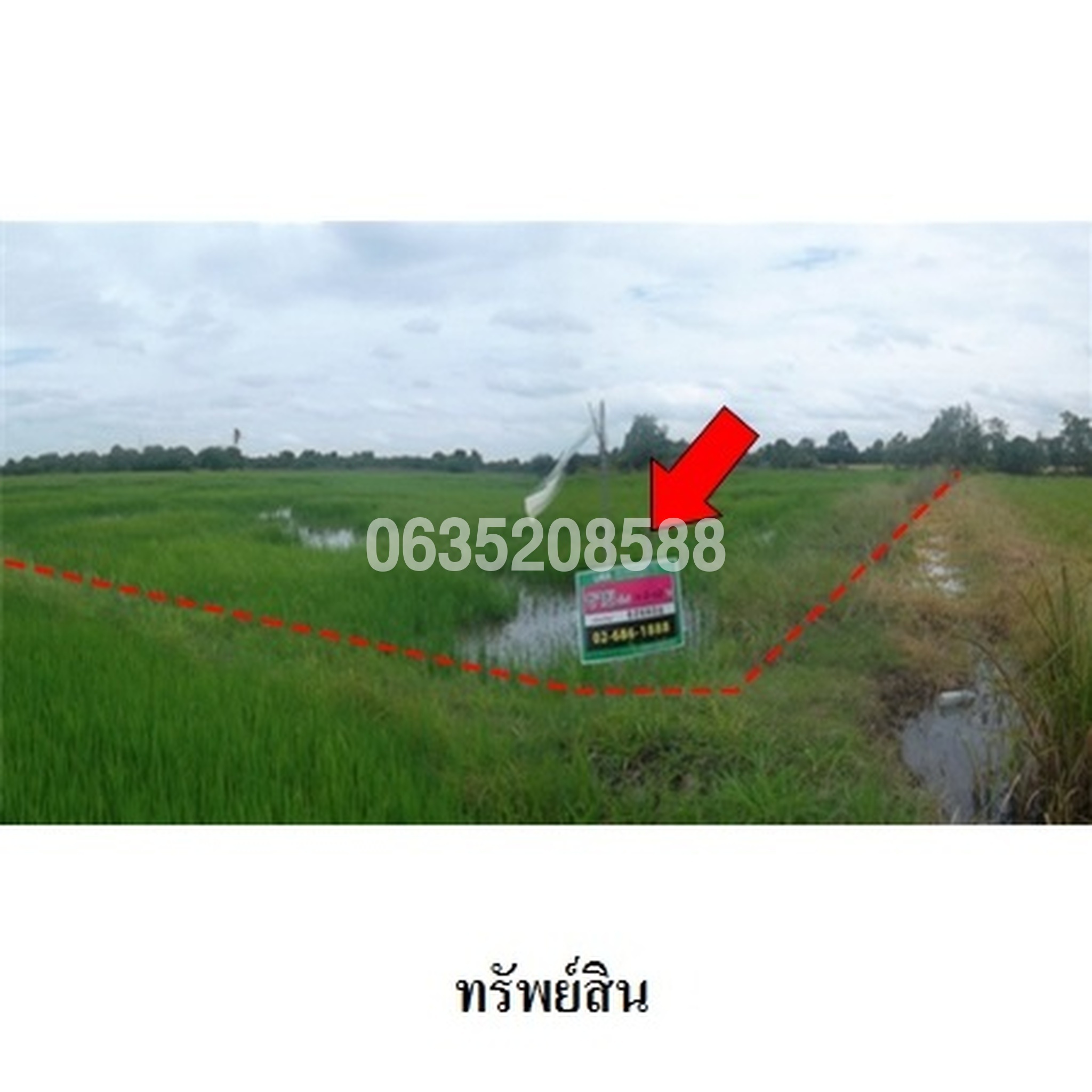 ขายที่ดิน ถนนสายนครปฐม-ดอนตูม (ทล.3036)
