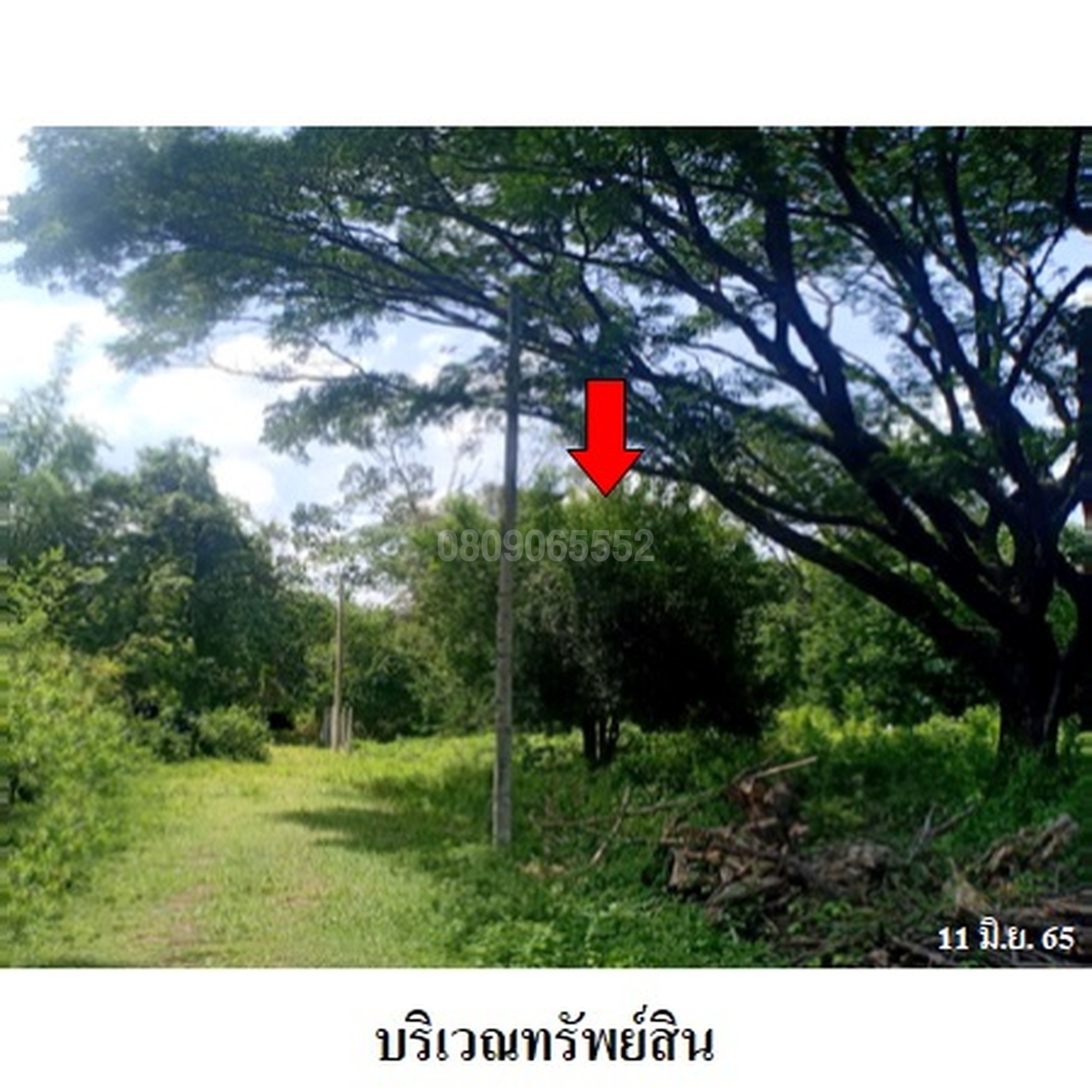 ขายที่ดิน สาริกาชาเลต์