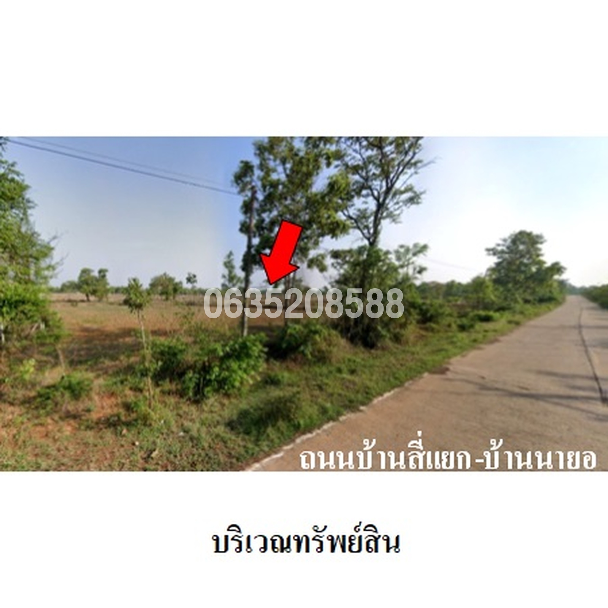 ขายที่ดิน ถนนสายบ้านสี่แยก-บ้านนายอ