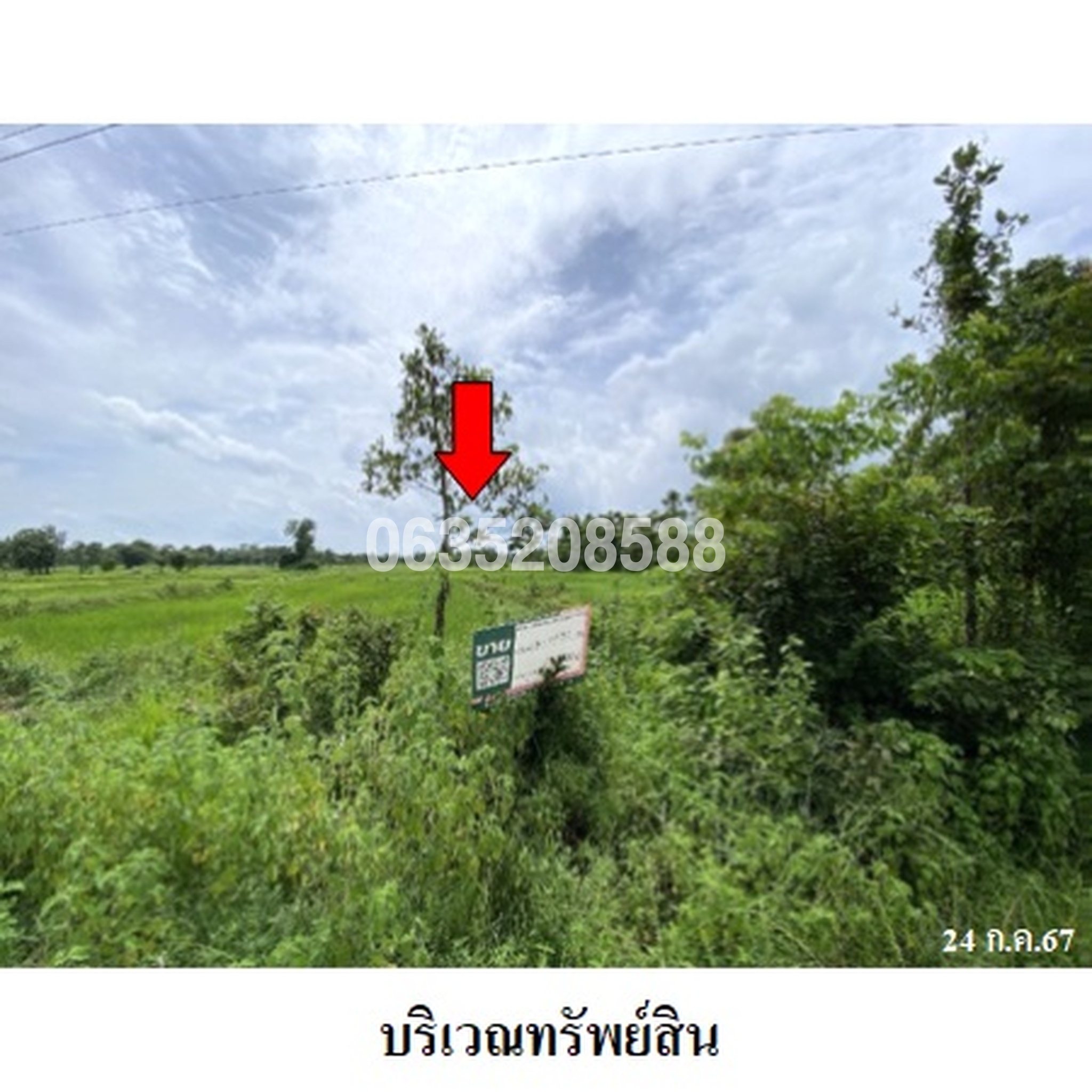 ขายที่ดิน ถนนสายบ้านสี่แยก-บ้านนายอ