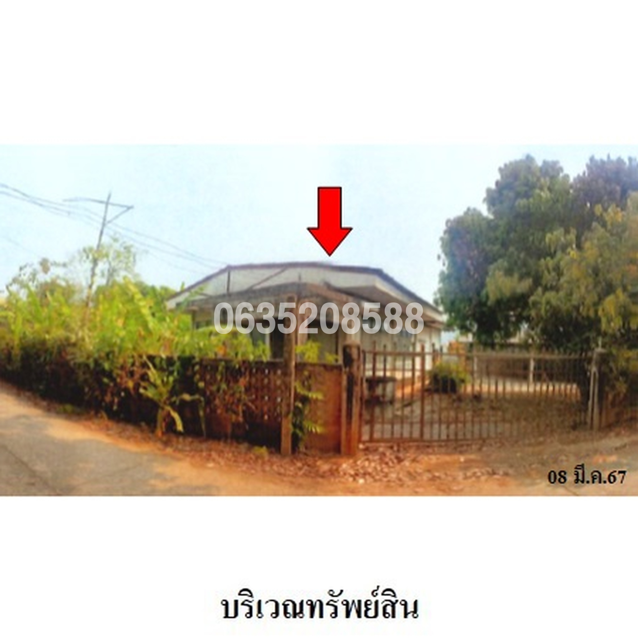 ขายบ้านเดี่ยว ถนนสายแม่จัน-เชียงแสน (ทล.1016)