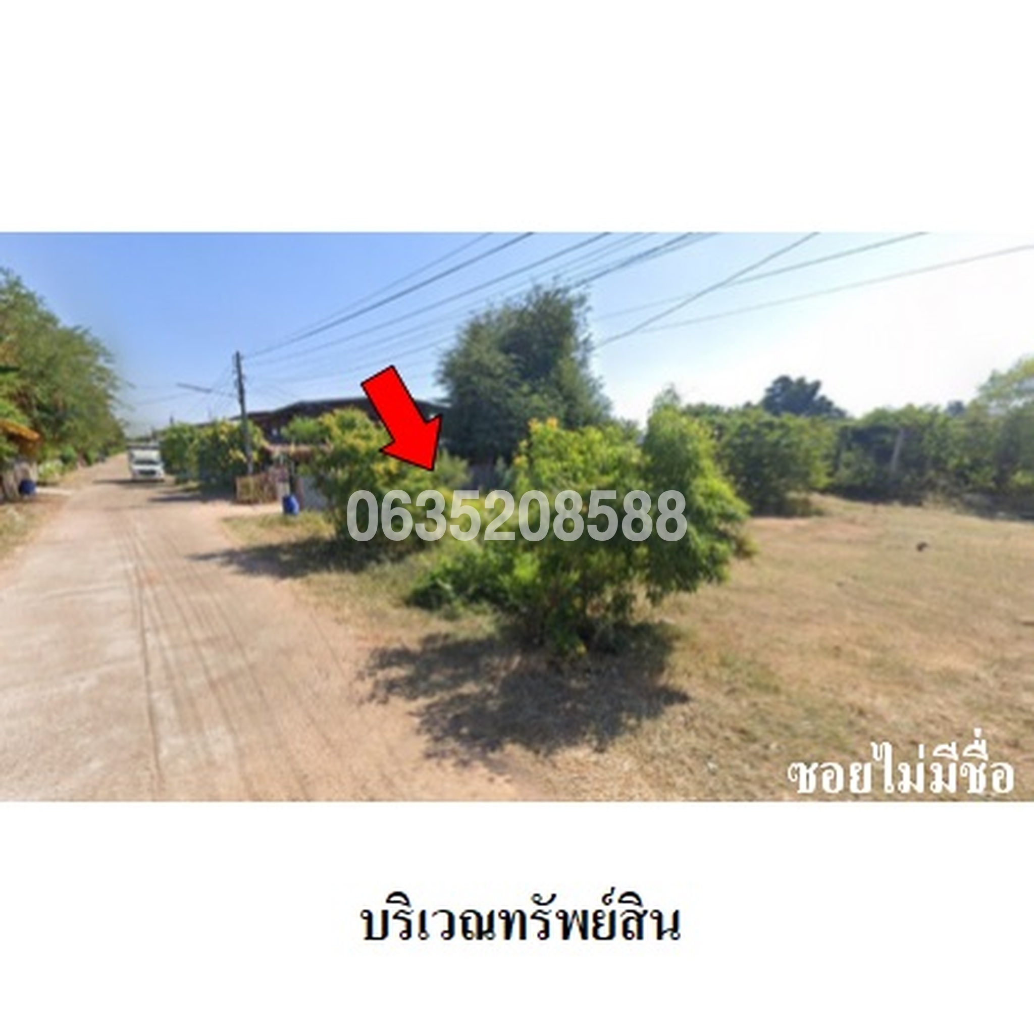 ขายที่ดิน ถนนสายลืออำนาจ-พนา (ทล.2134)